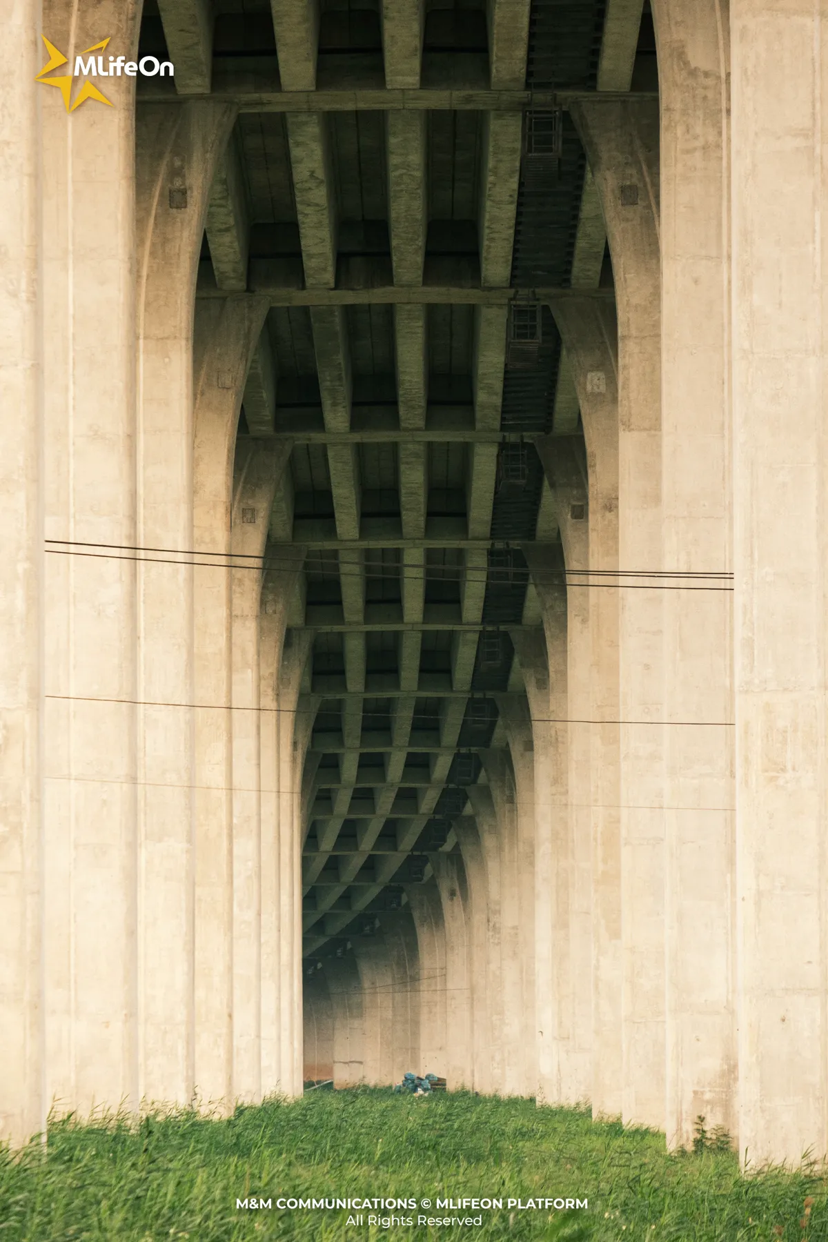 2c895a4d-5288-4339-a42b-f6b1915a5332.jpg