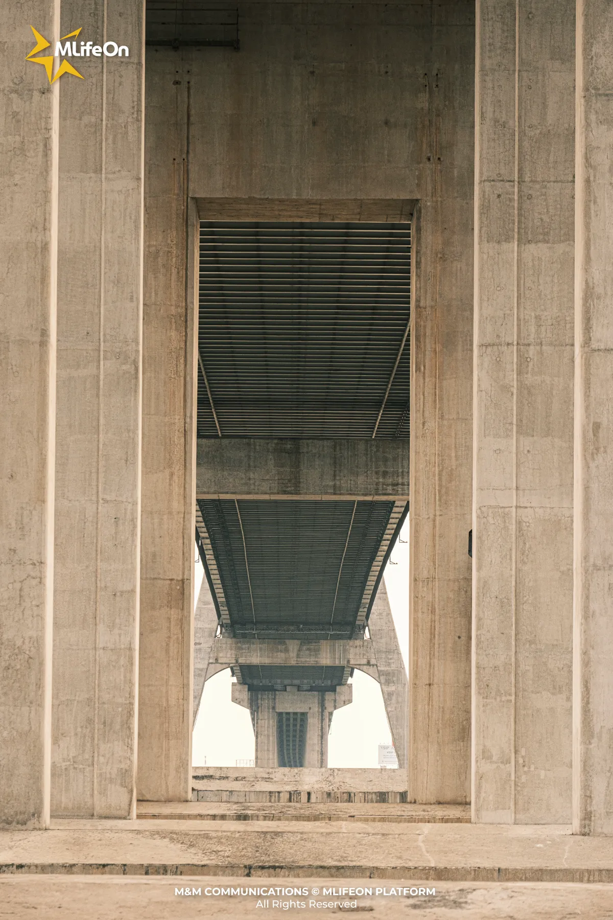 79dfdfce-10c5-4a4e-a0d0-3d34893be9f5.jpg
