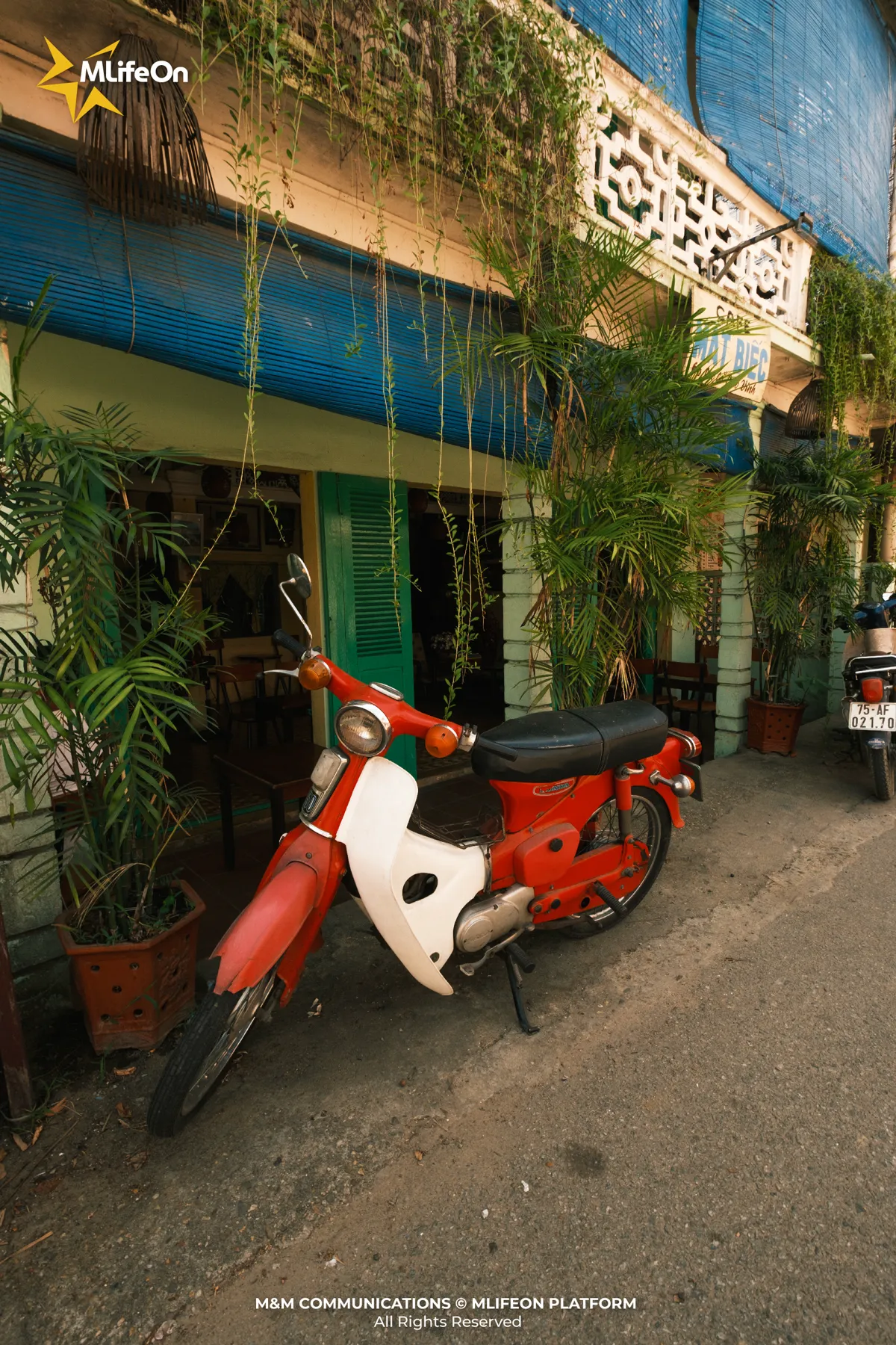 a1ad8ef1-3b7f-4235-9e77-0c749b4a12db.jpg