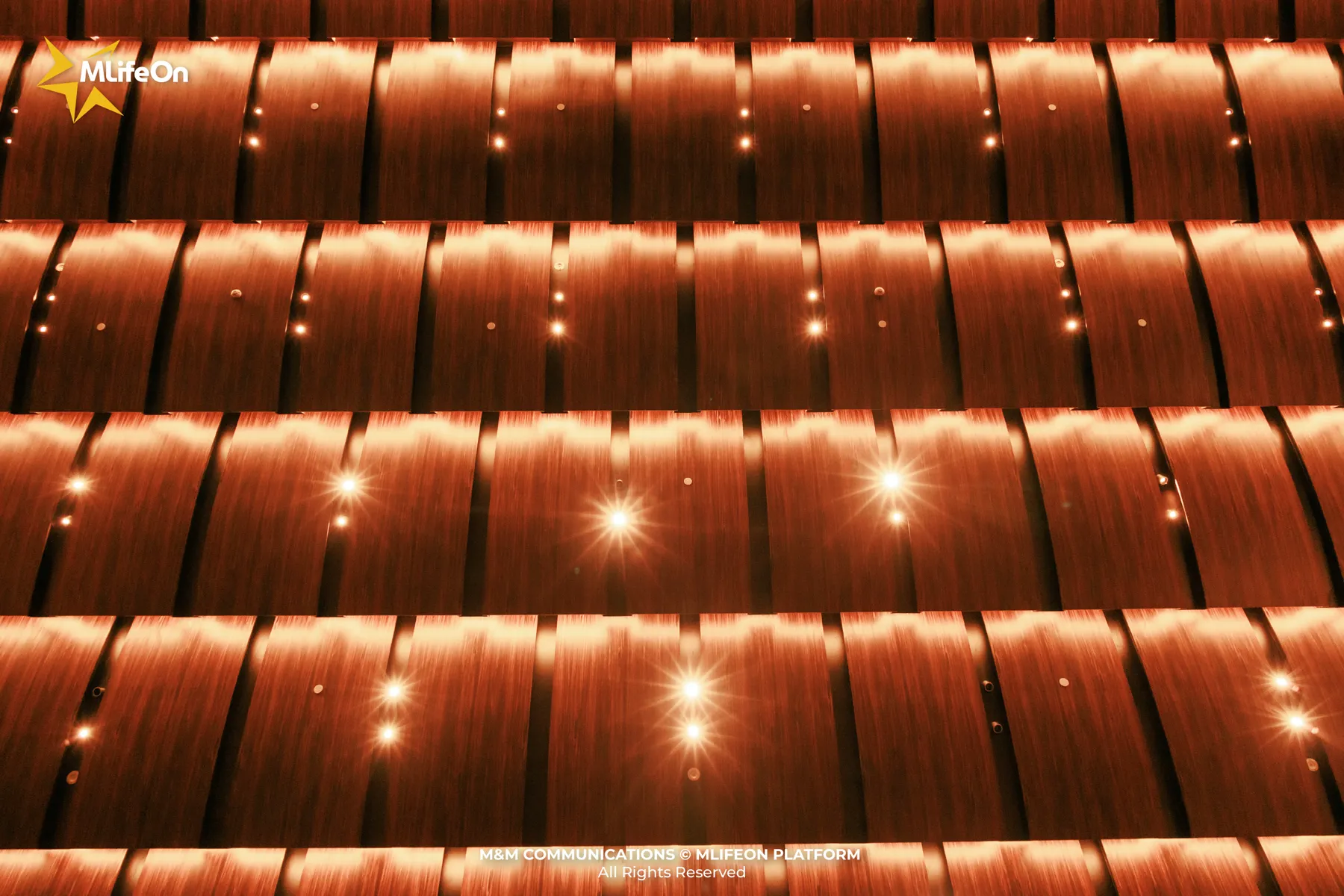 c08a0573-e7d5-4c23-a9e6-21d95b4c726b.jpg