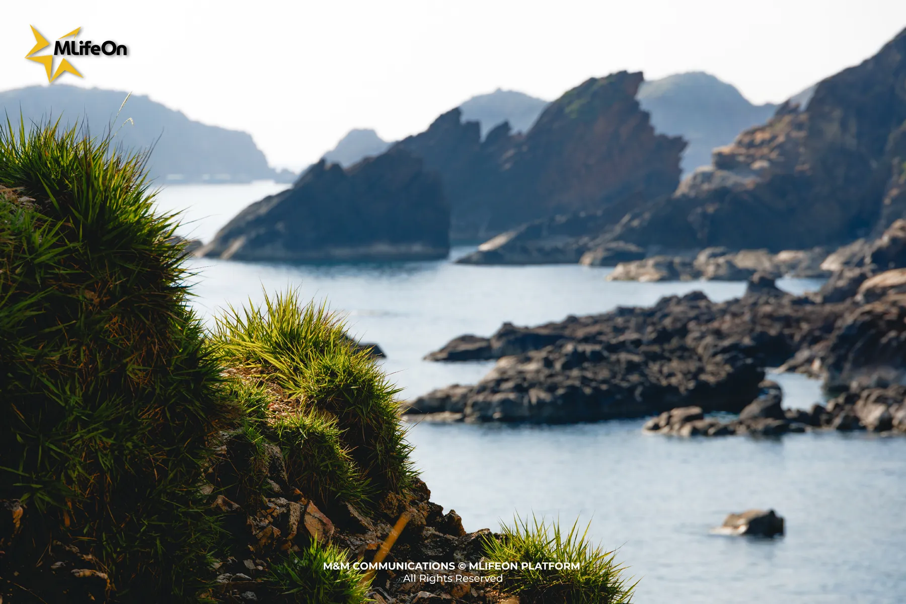 MLIFEON_SEO_T7_Nhon Ly-06.jpg