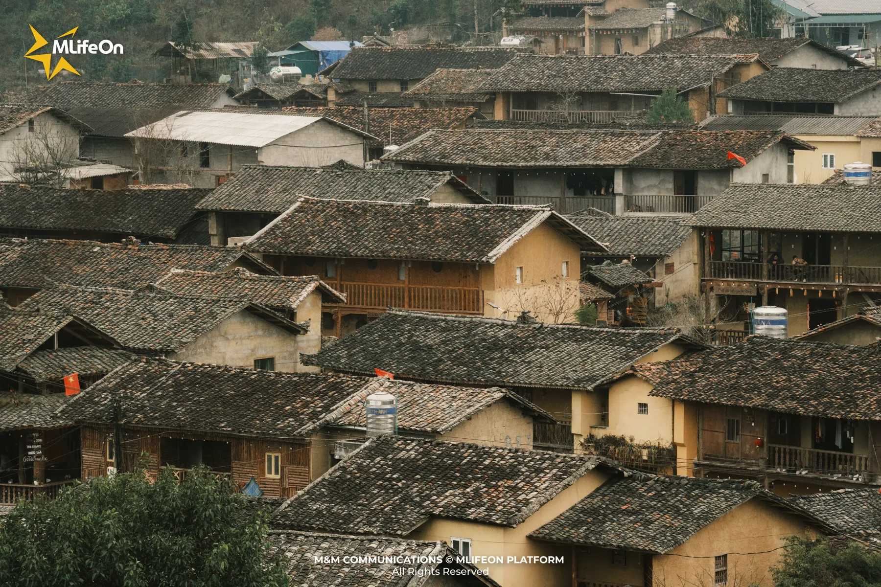 MLIFEON_SEO_T7_Mai ngoi-05.jpg