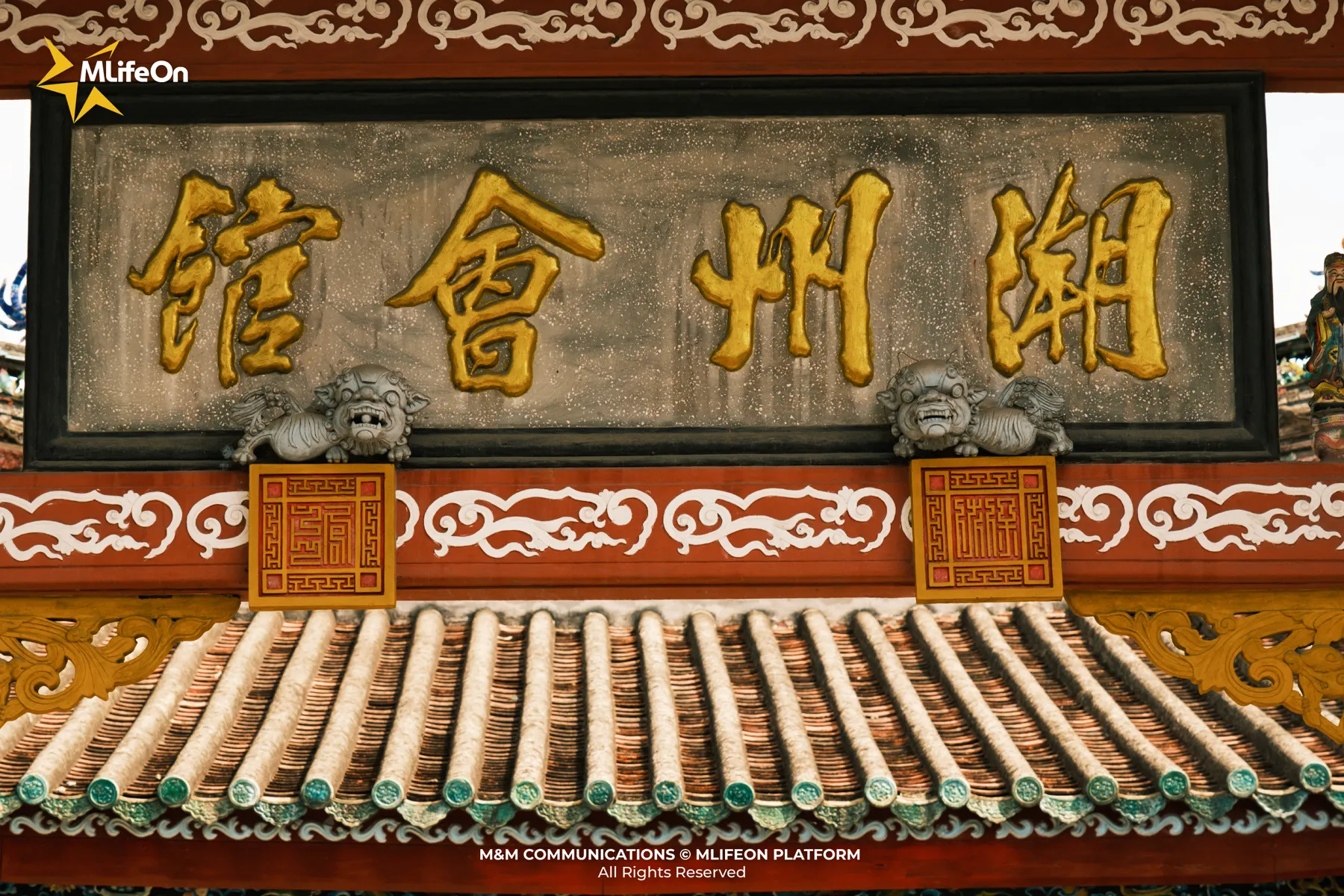 MLIFEON_SEO_T7_Mai ngoi-11.jpg