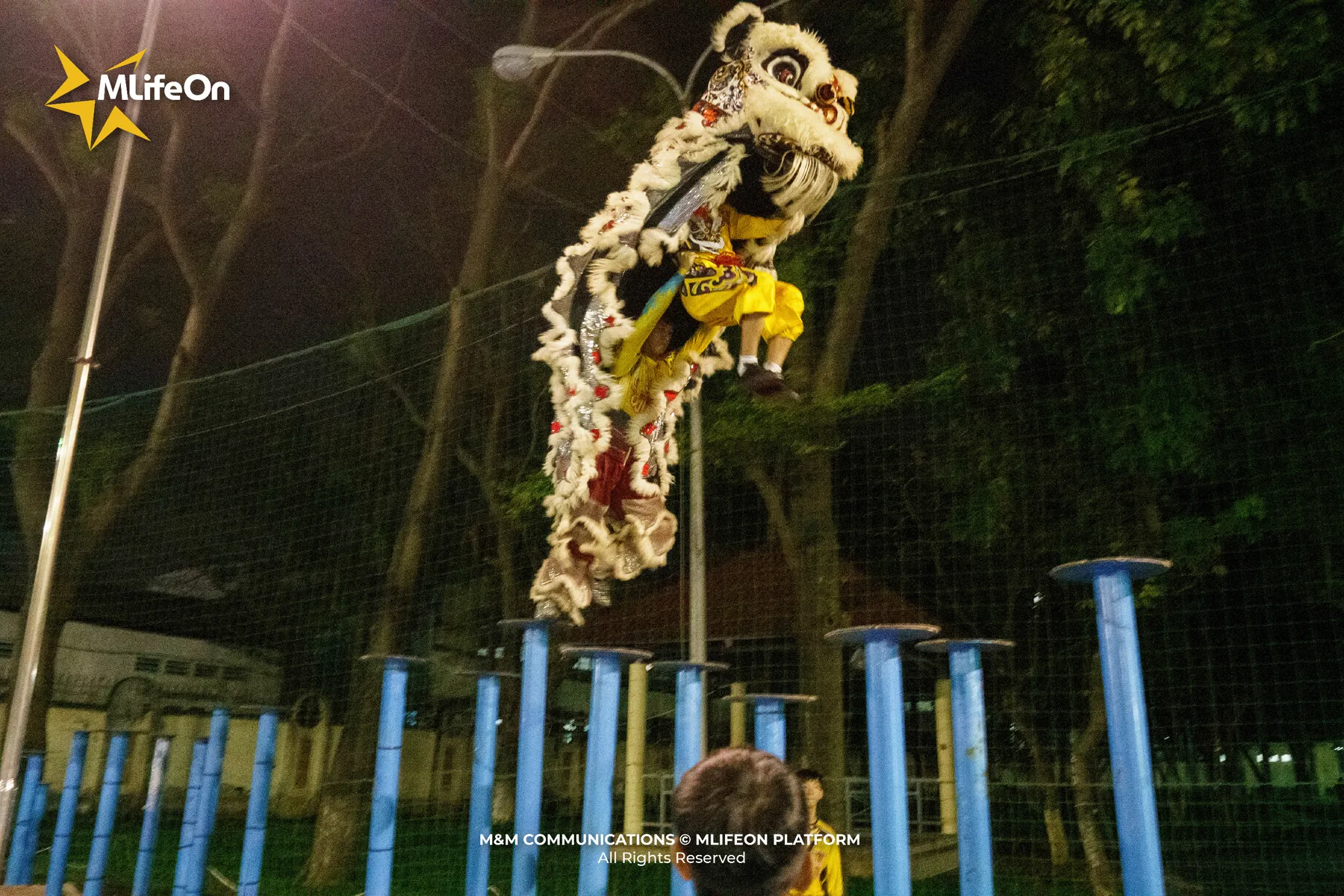 hình con lân sư rồng-14.jpg