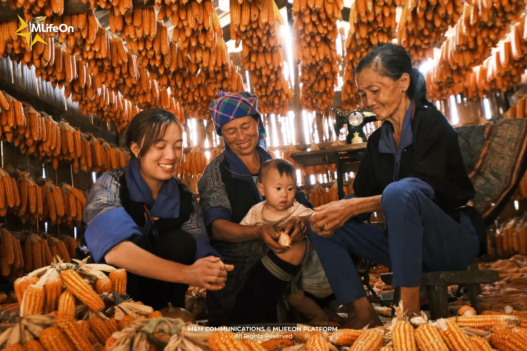 MLIFEON_SEO_NHA NGO-08.jpg