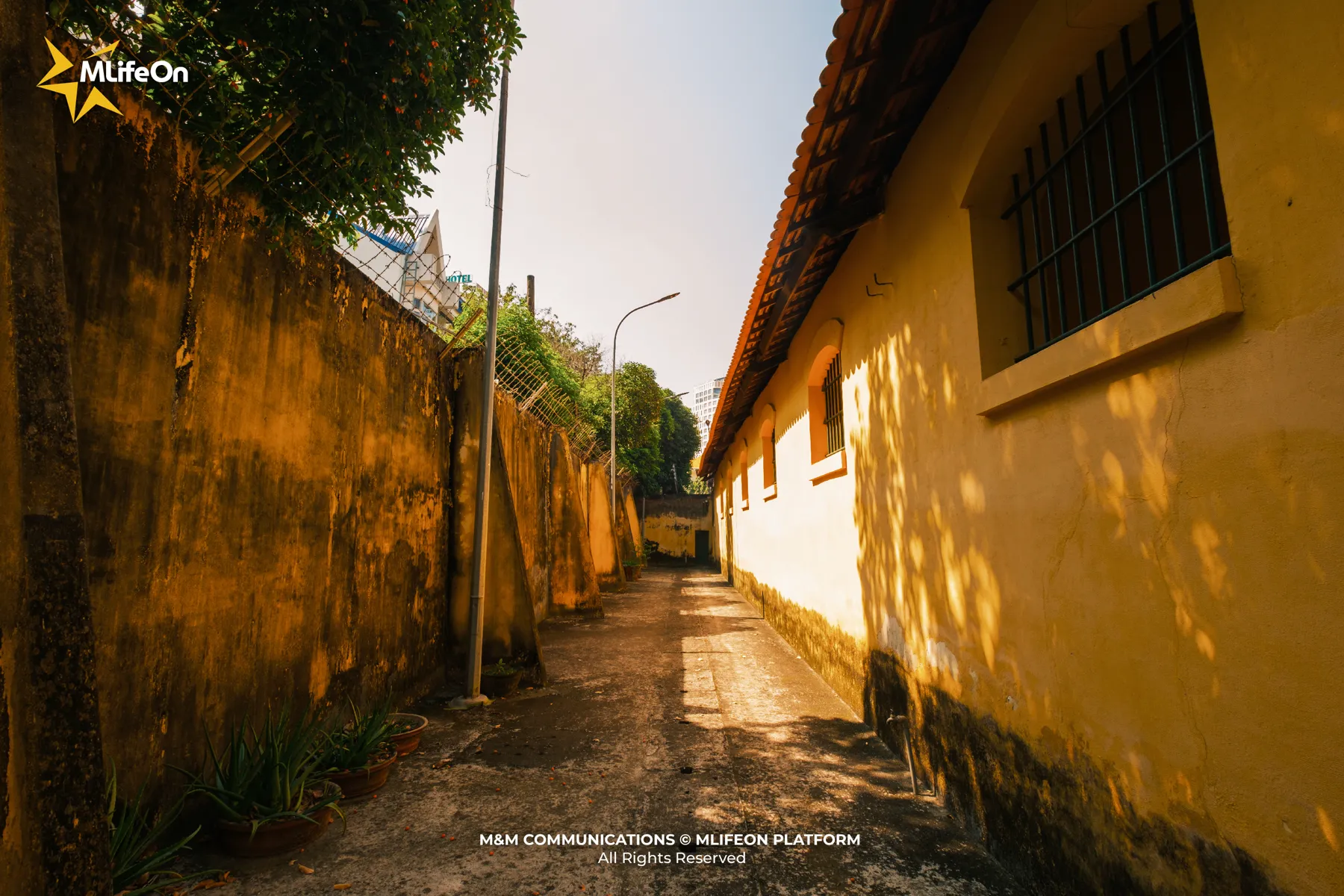 MLIFEON_SEO_NHA TU KHAM LON-07.jpg