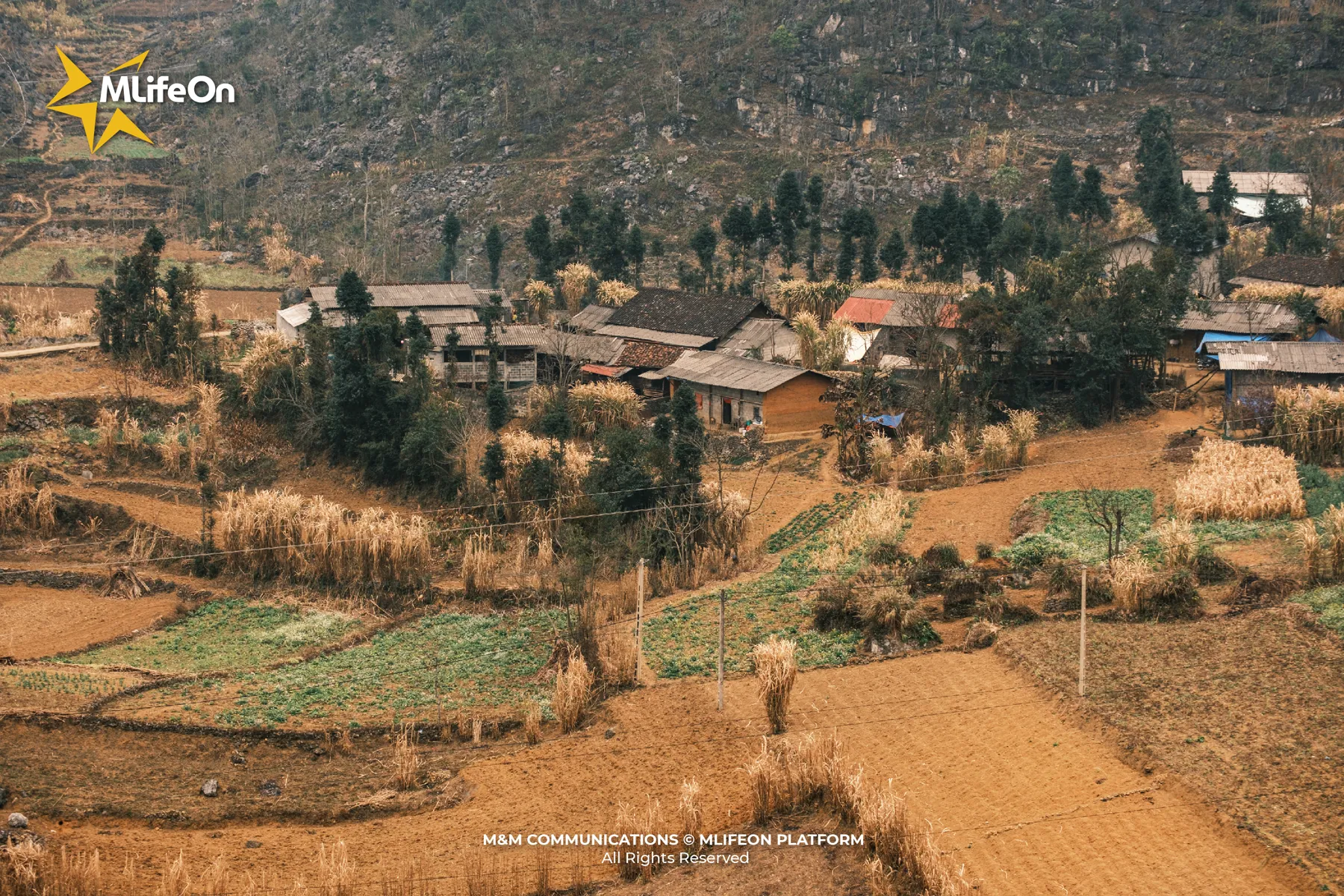 MLIFEON_WEB_T9_NHUNG NGUOI BAN TAY BAC-13.jpg