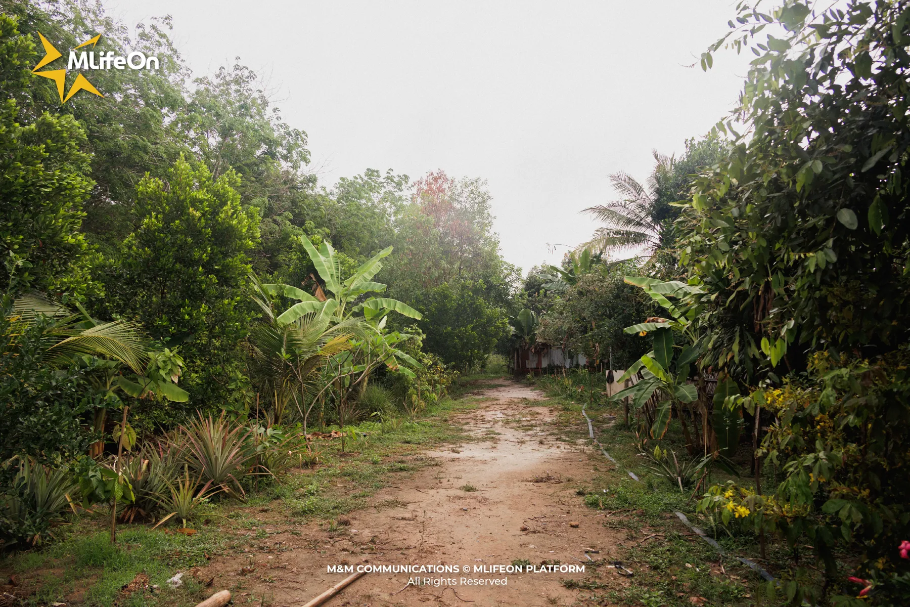 MLIFEON_WEB_T9_TAY NINH-08.jpg