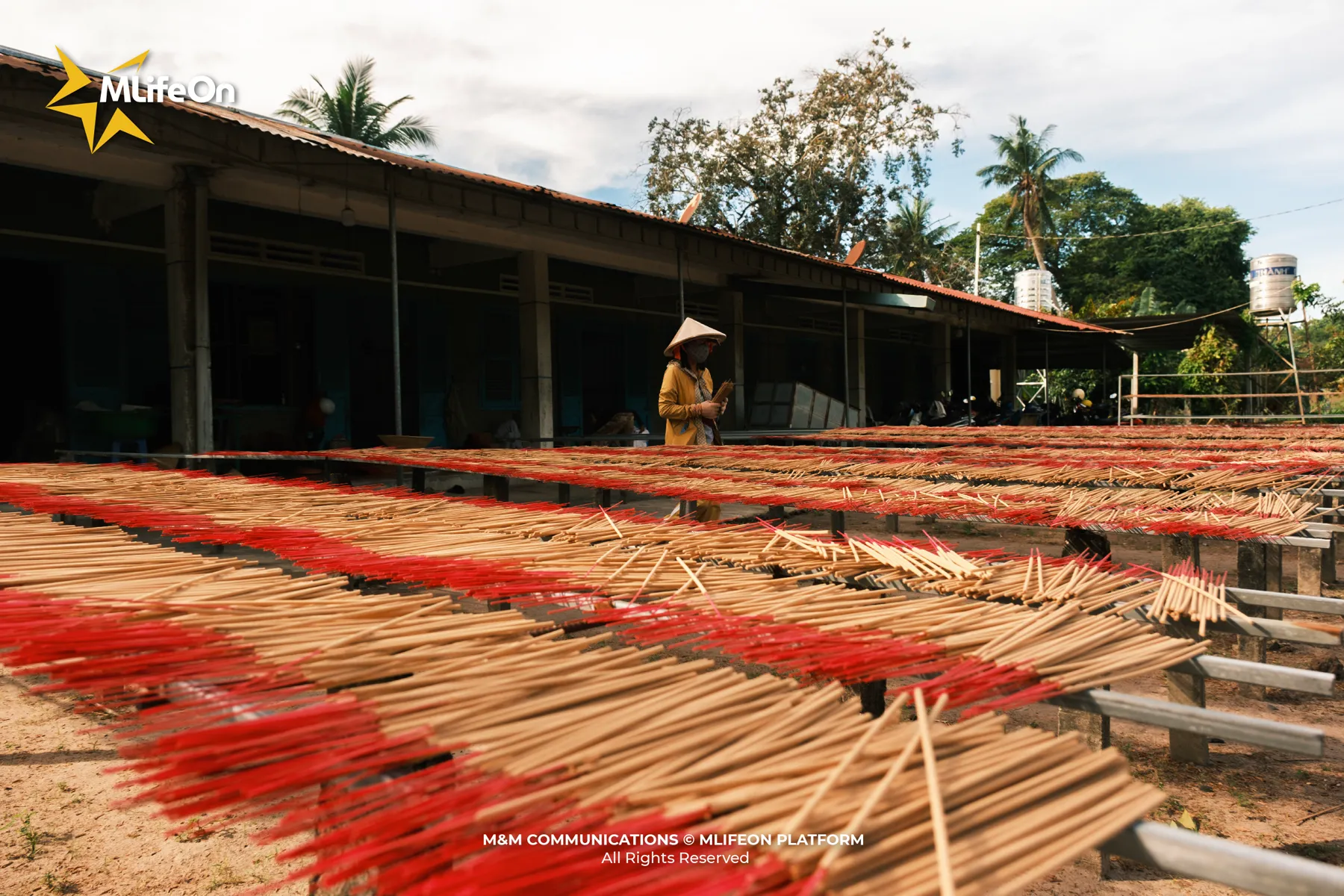 People are the embodiment of Tay Ninh itself, simple yet strong, resilient yet full of patience and endurance.