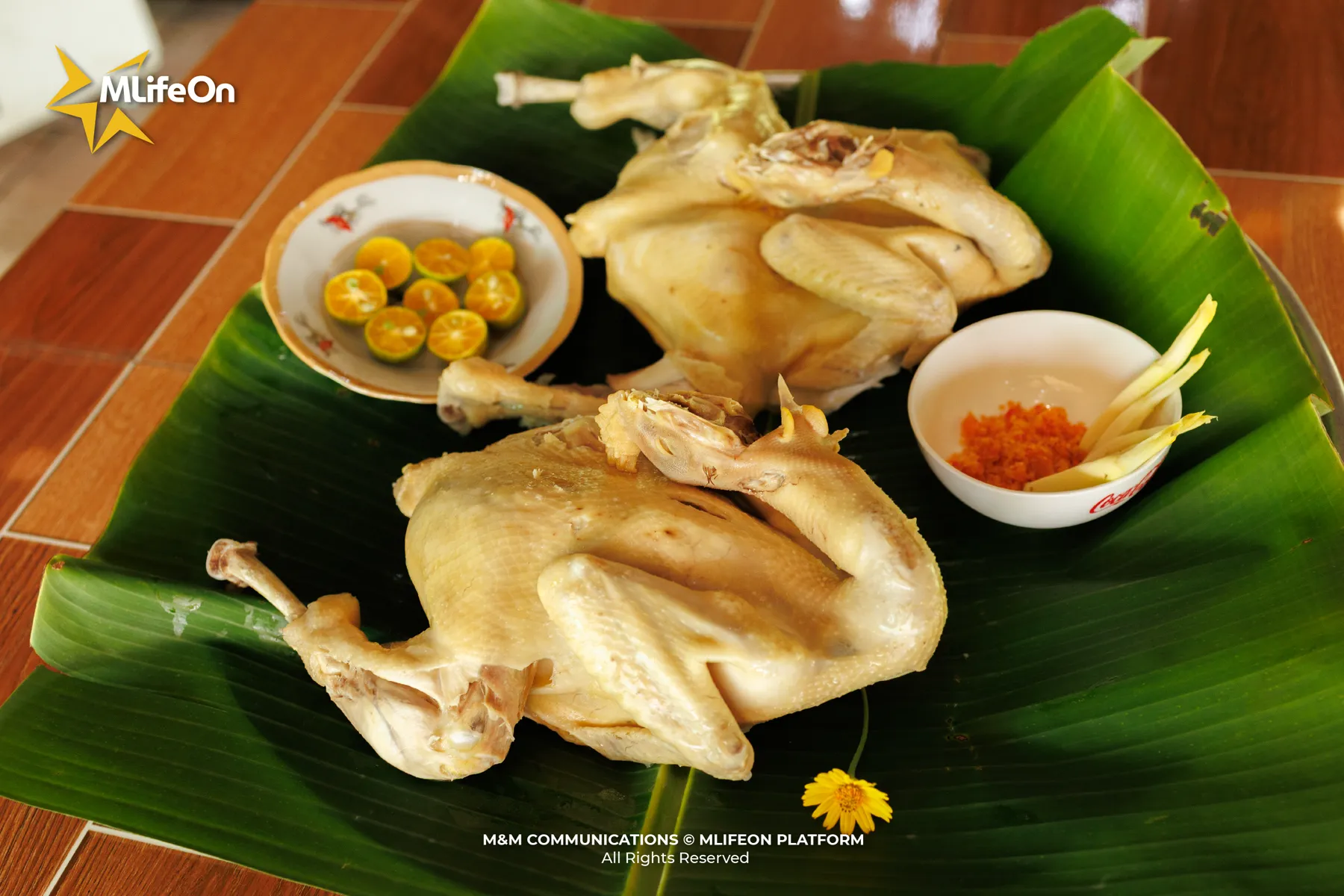 MLIFEON_WEB_T9_TAY NINH-02 (1).jpg