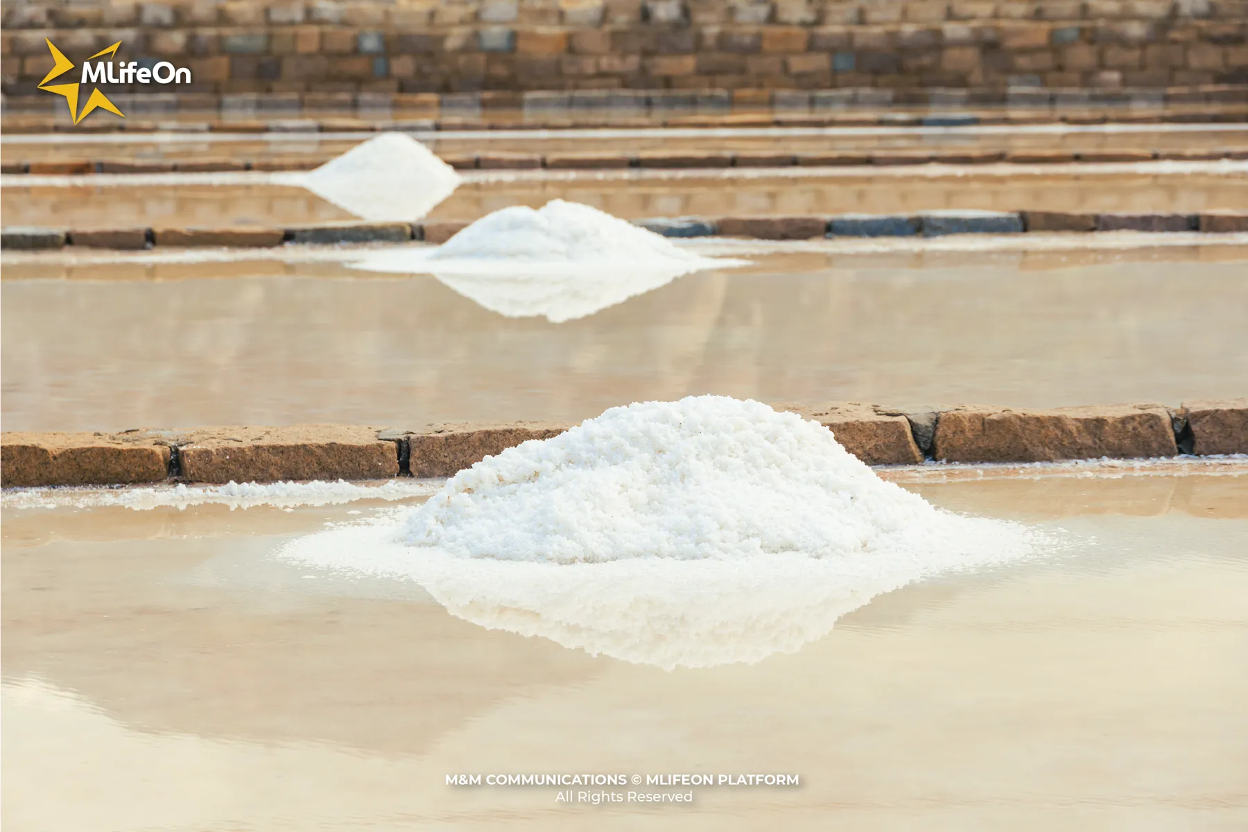 They call them “salty pearls,” crystallized from the sun, the wind, and the drops of sweat running down sunburned backs.