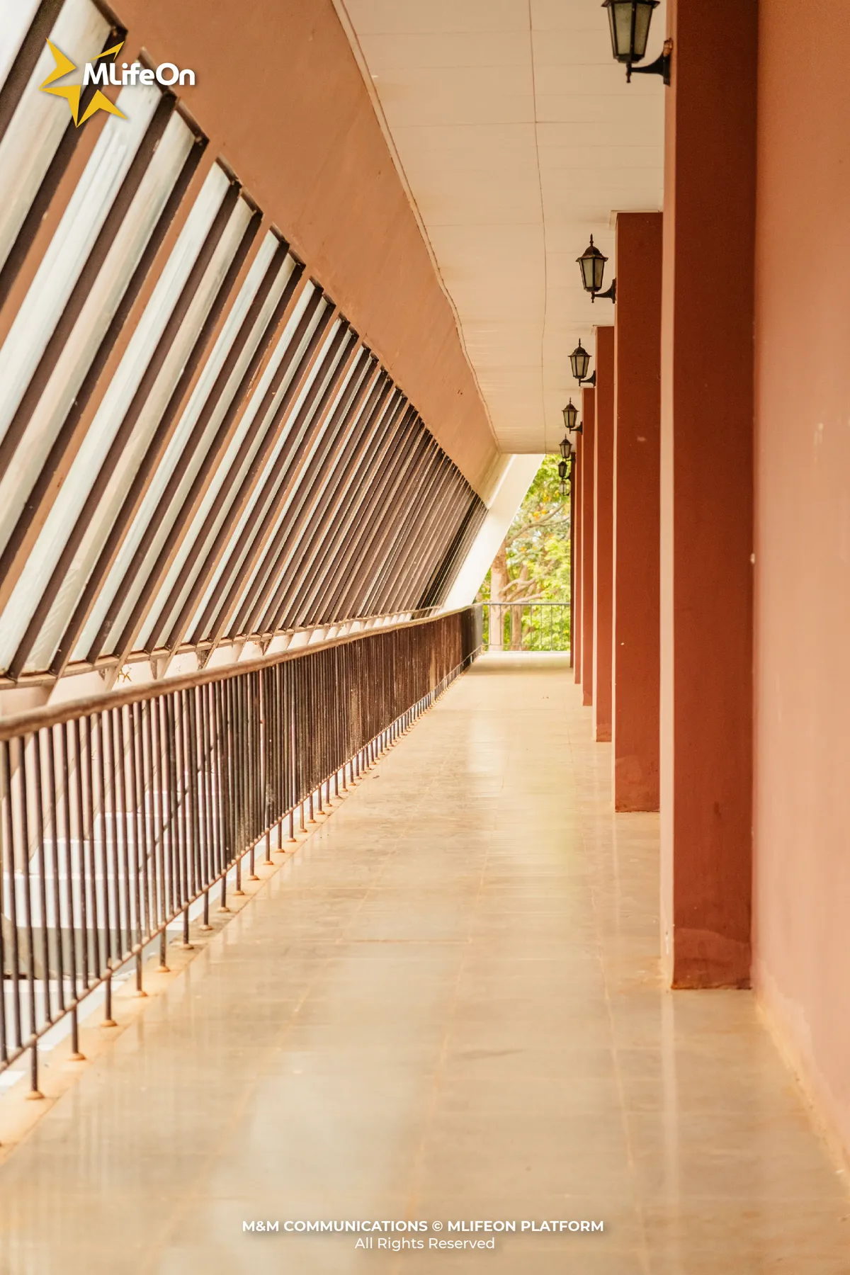 MLIFEON_WEB_T10_BAO TANG DAK LAK_HINH CO-03.jpg