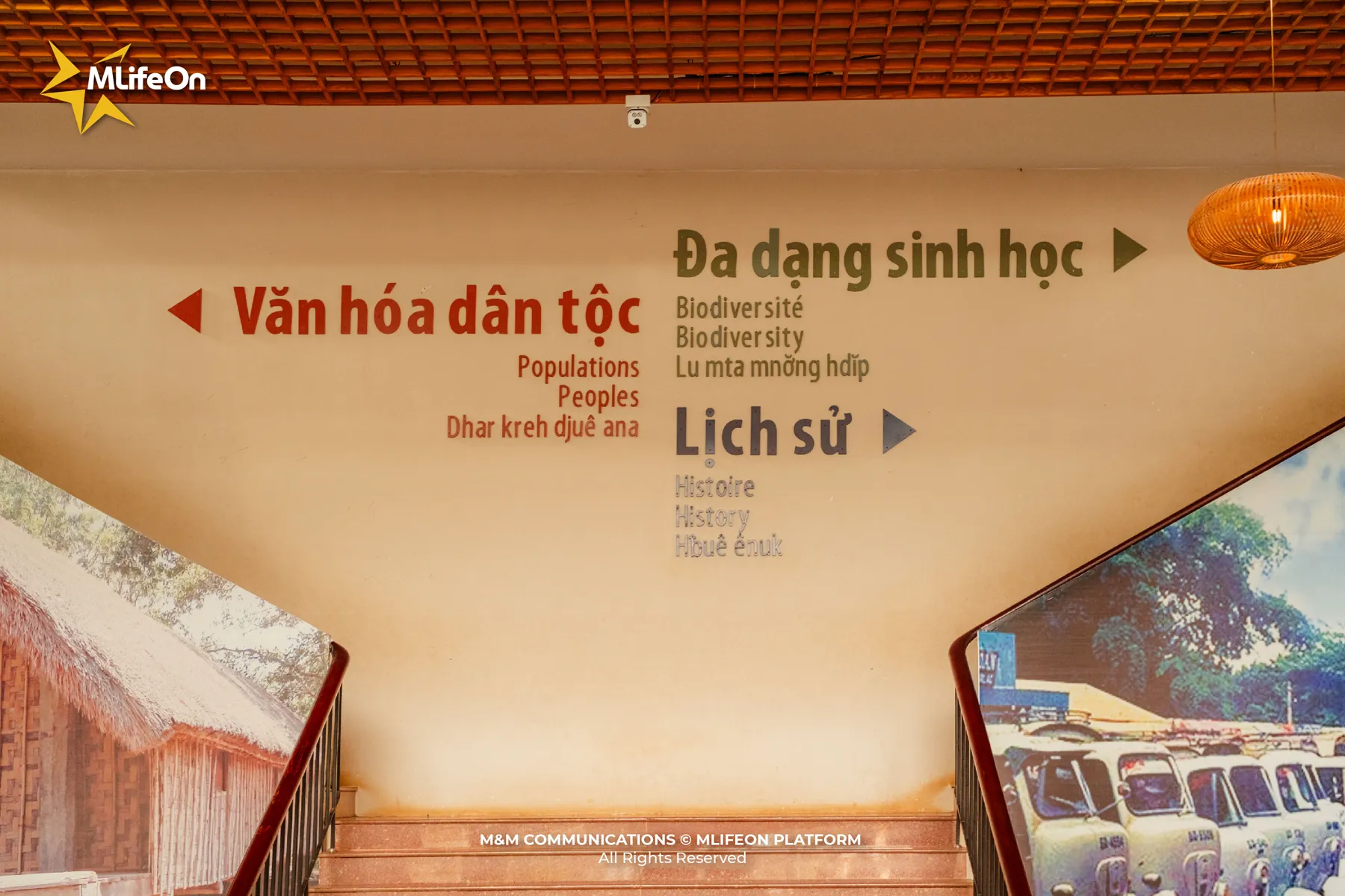 MLIFEON_WEB_T10_BAO TANG DAK LAK_HINH CO-06.jpg