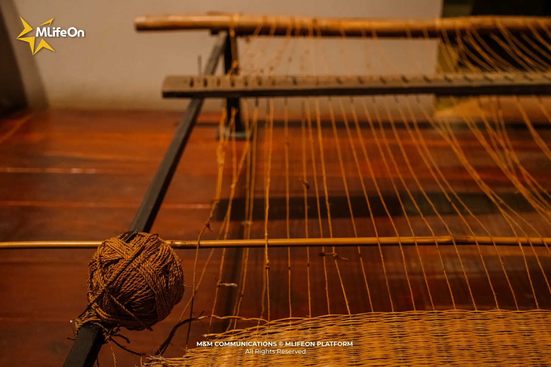 MLIFEON_WEB_T10_BAO TANG DAK LAK_HINH CO-09.jpg