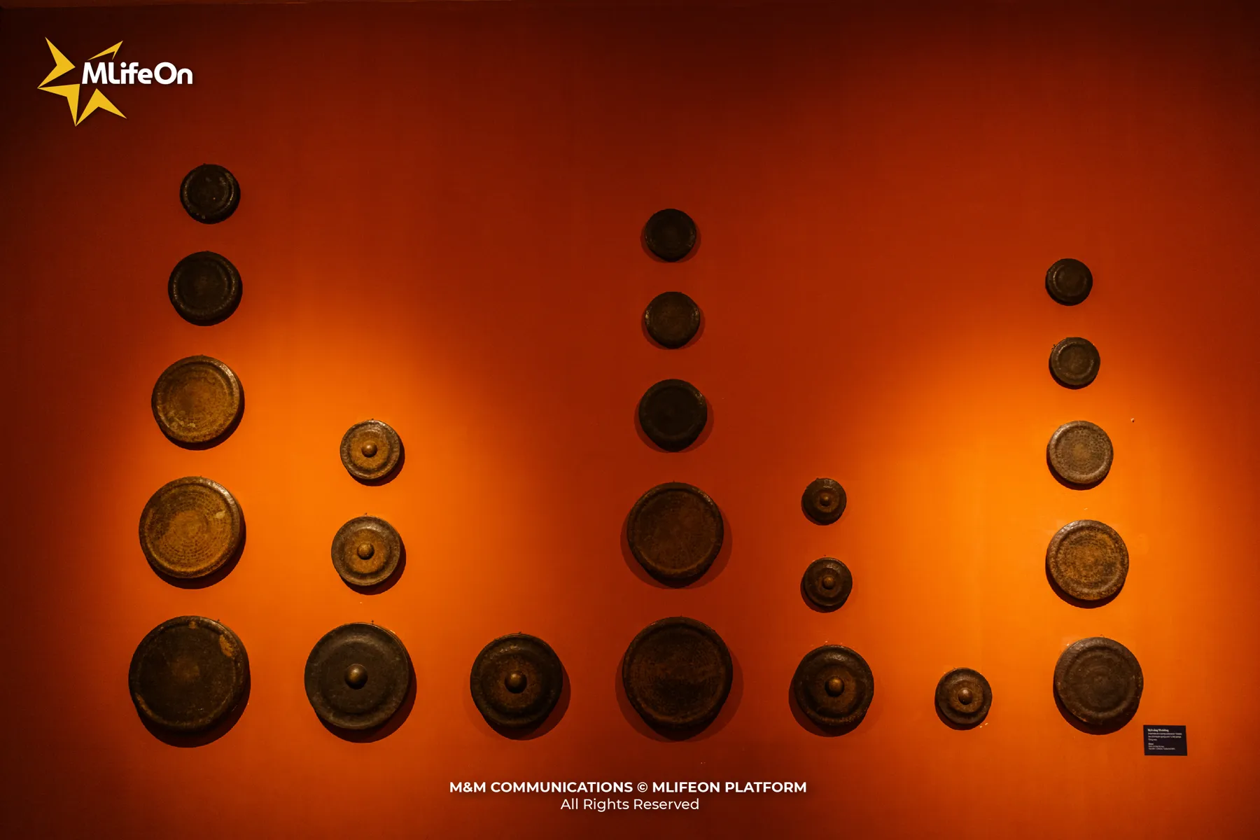 MLIFEON_WEB_T10_BAO TANG DAK LAK_HINH CO-10.jpg