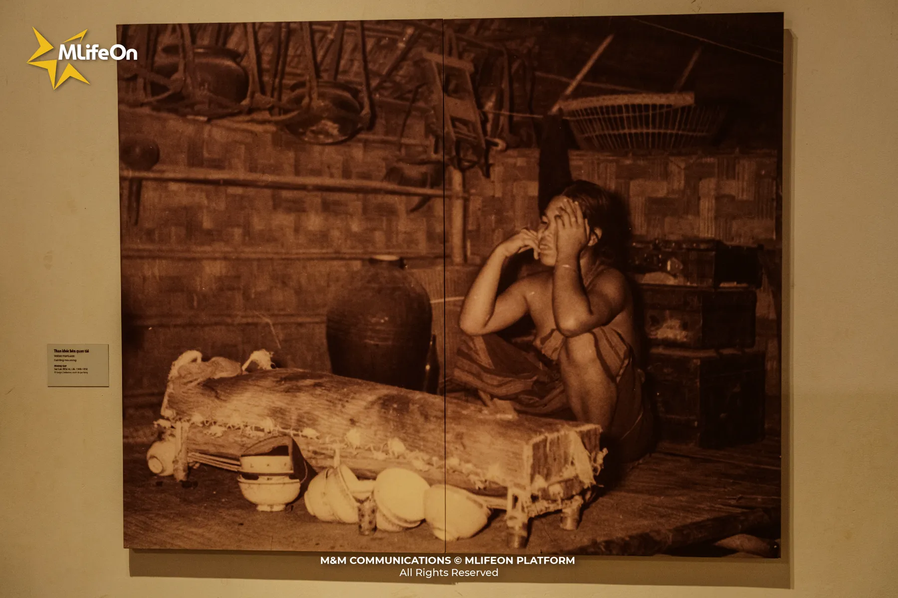 MLIFEON_WEB_T10_BAO TANG DAK LAK_HINH CO-12.jpg