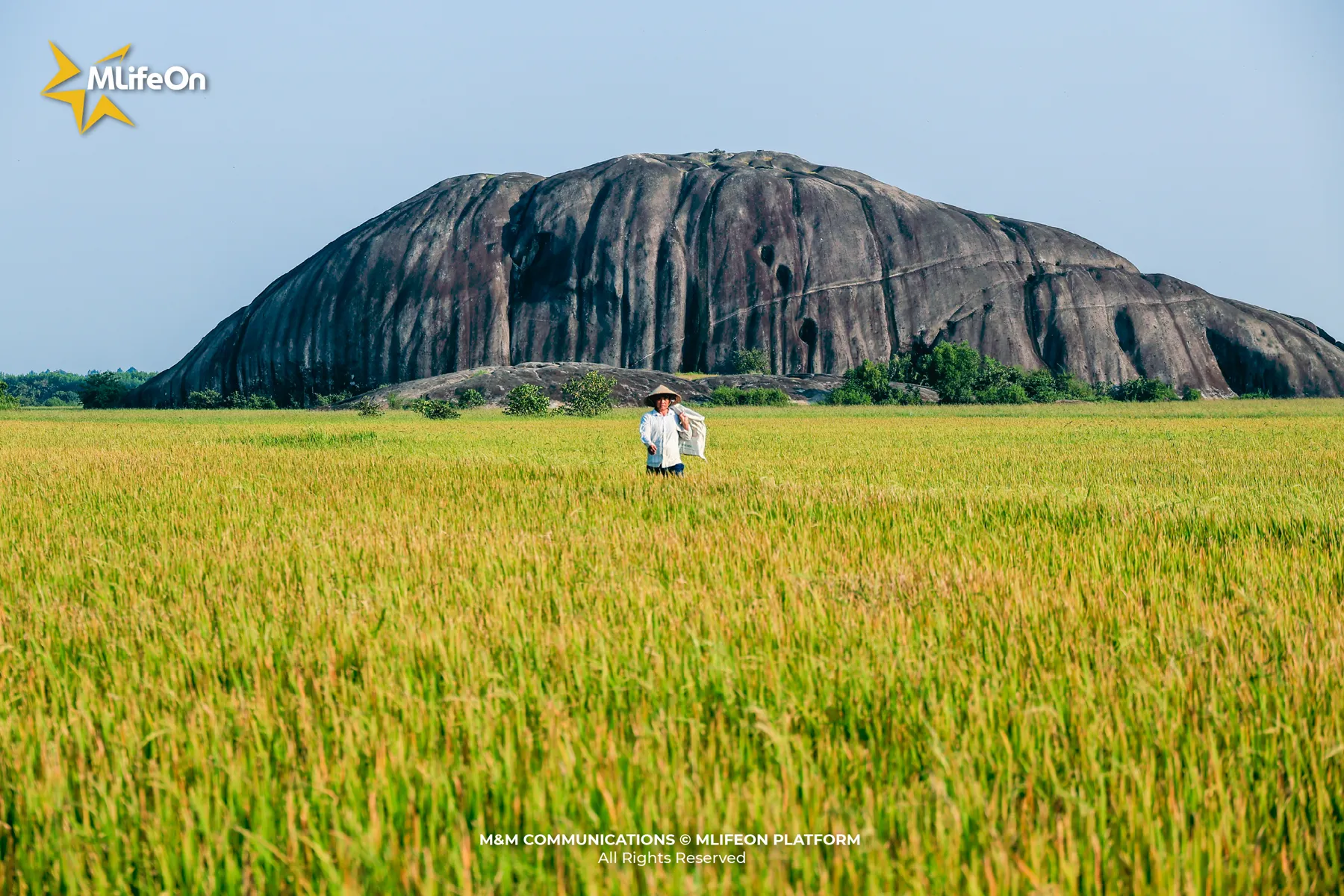 MLIFEON_WEB_T10_LUA VIET NAM-02.jpg