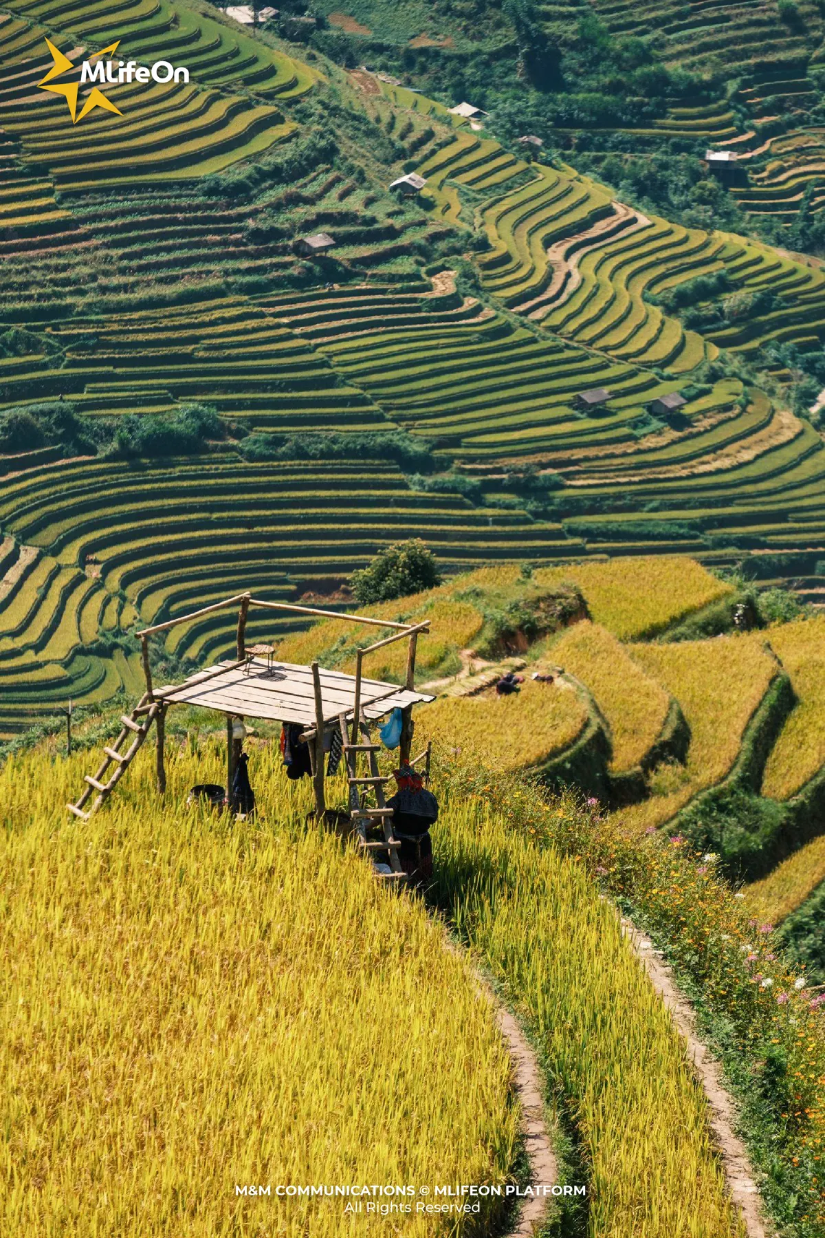 MLIFEON_WEB_T10_LUA VIET NAM-09.jpg