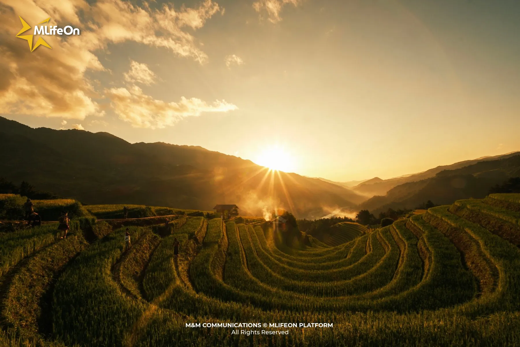 MLIFEON_WEB_T10_LUA VIET NAM-10.jpg