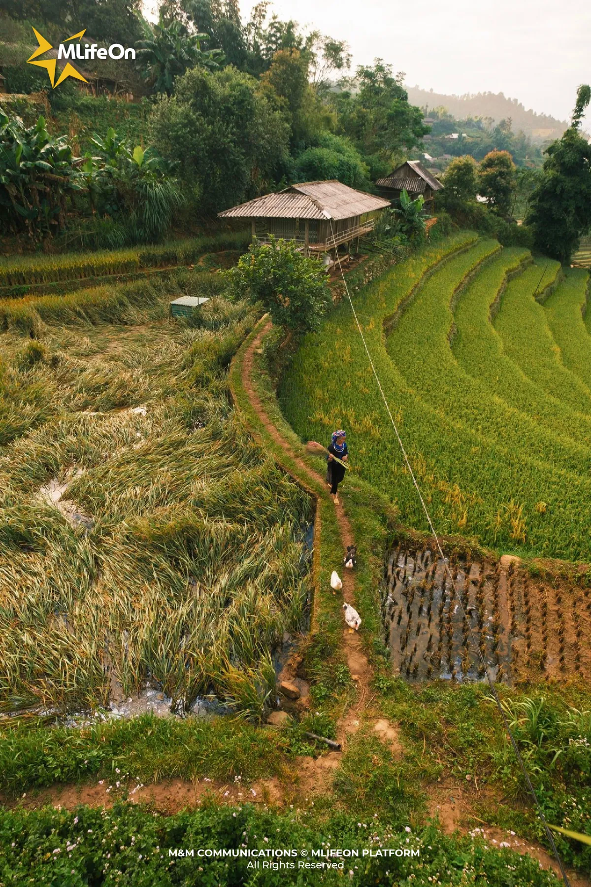 MLIFEON_WEB_T10_LUA VIET NAM-11.jpg