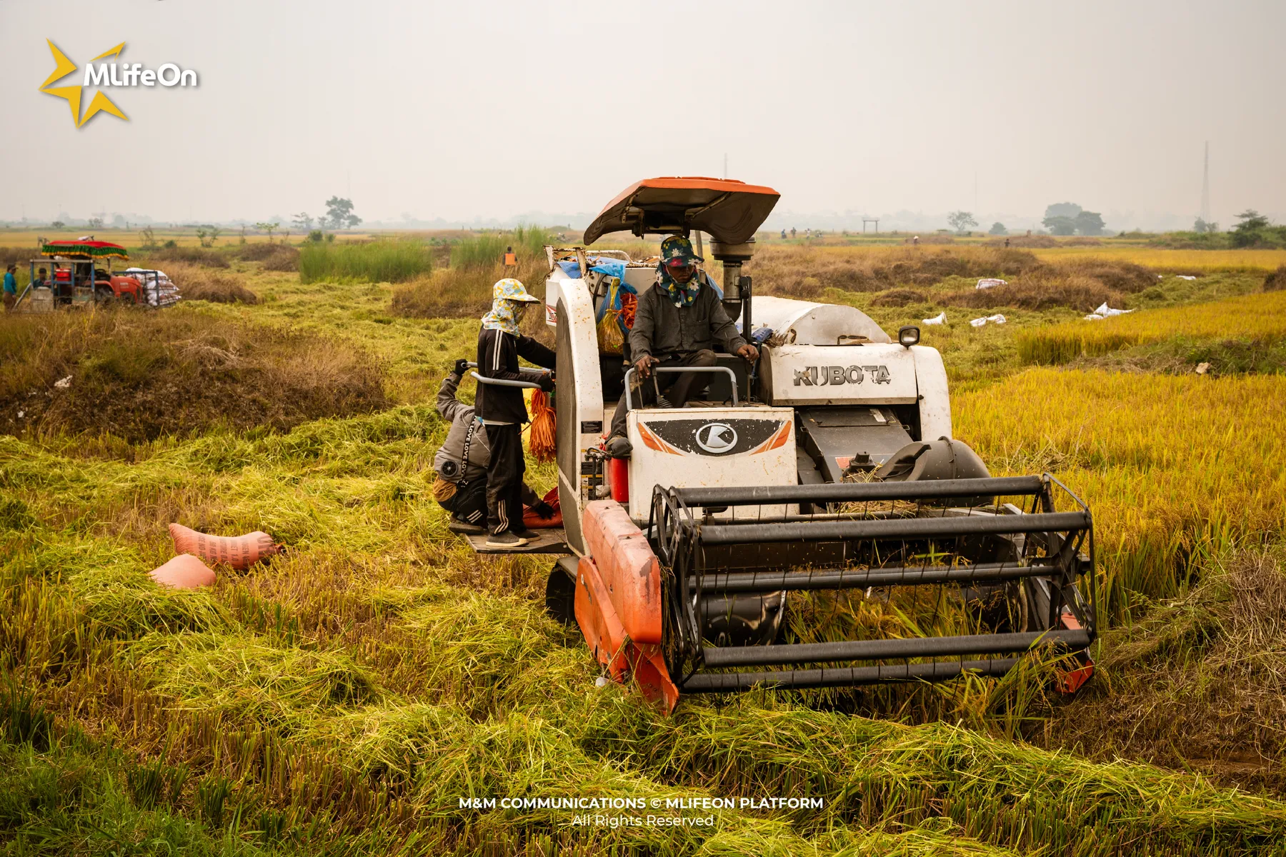 MLIFEON_WEB_T10_LUA VIET NAM-14.jpg