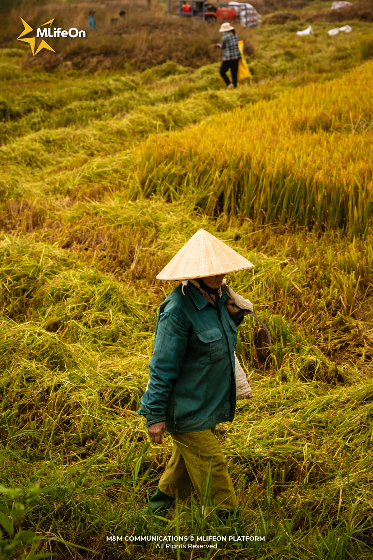 MLIFEON_WEB_T10_LUA VIET NAM-15.jpg