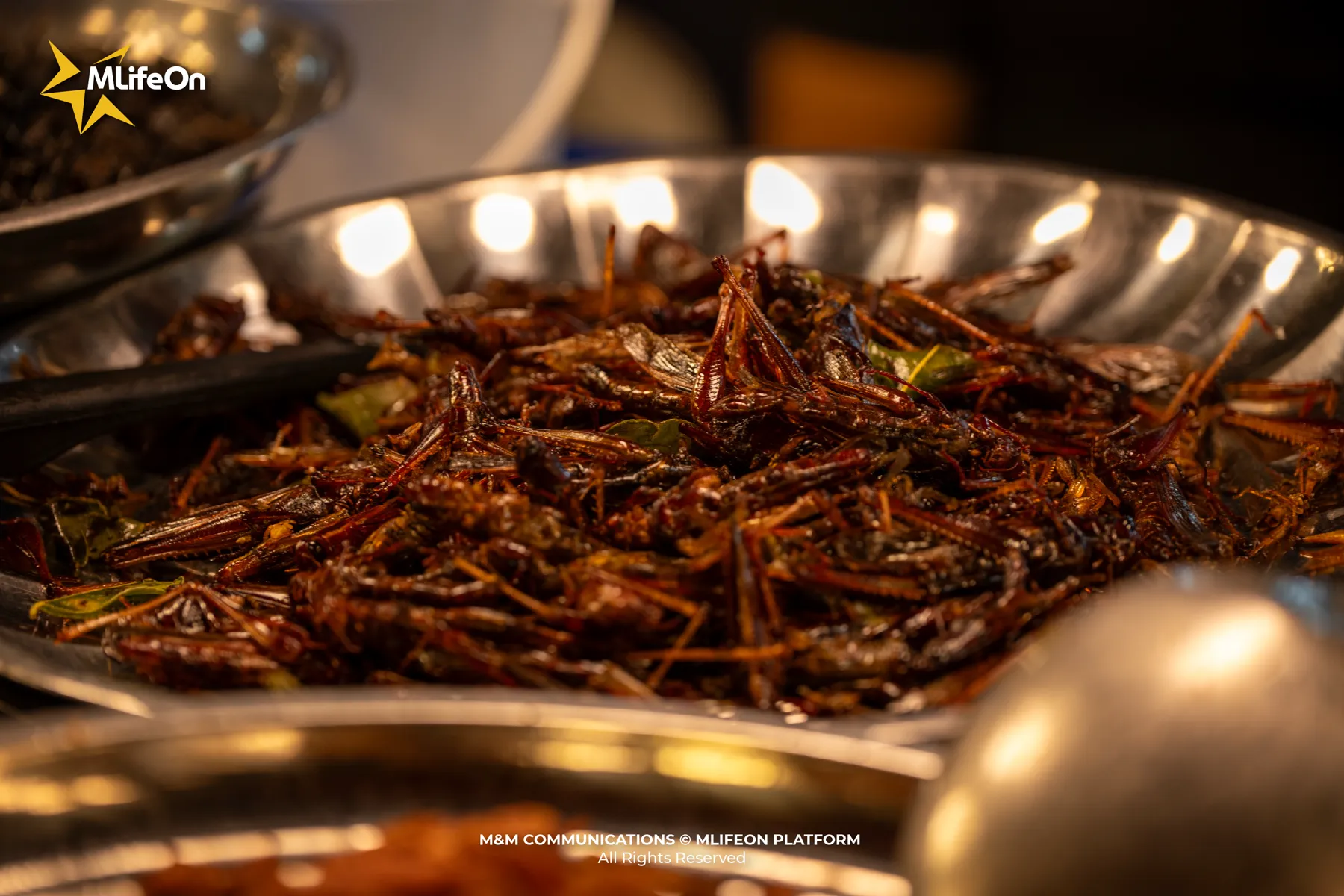 MLIFEON_WEB_T11_CHO DEM VIENG CHAN_HINH CON-08.jpg