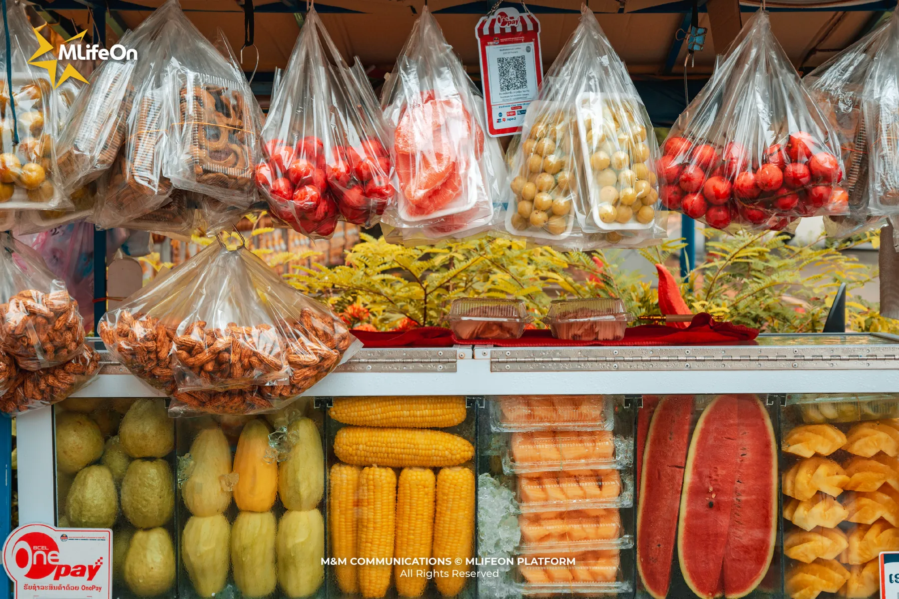 MLIFEON_WEB_T11_CHO DEM VIENG CHAN_HINH CON-11.jpg