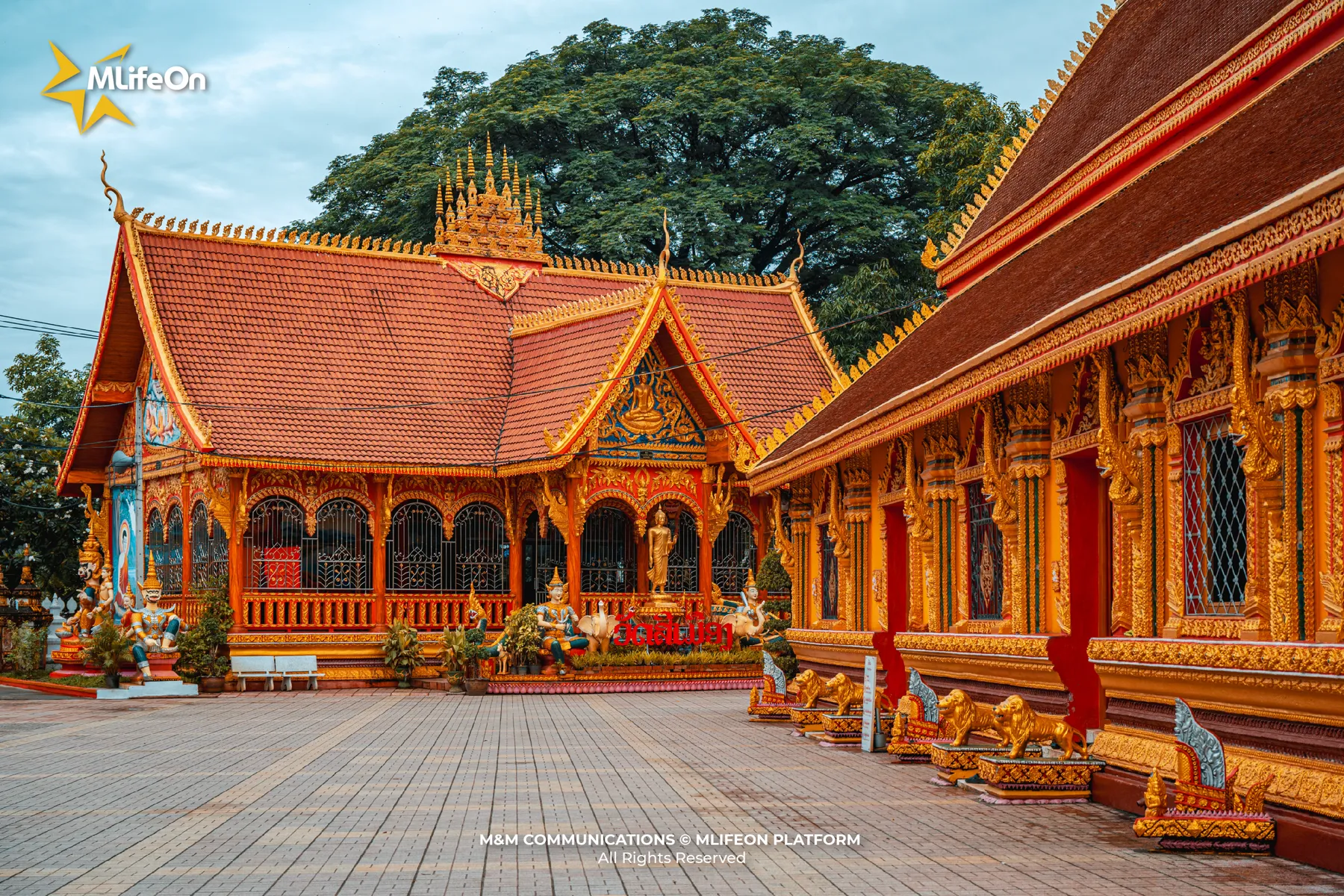 MLIFEON_WEB_T11_DU LICH CHAM RAI-03.jpg