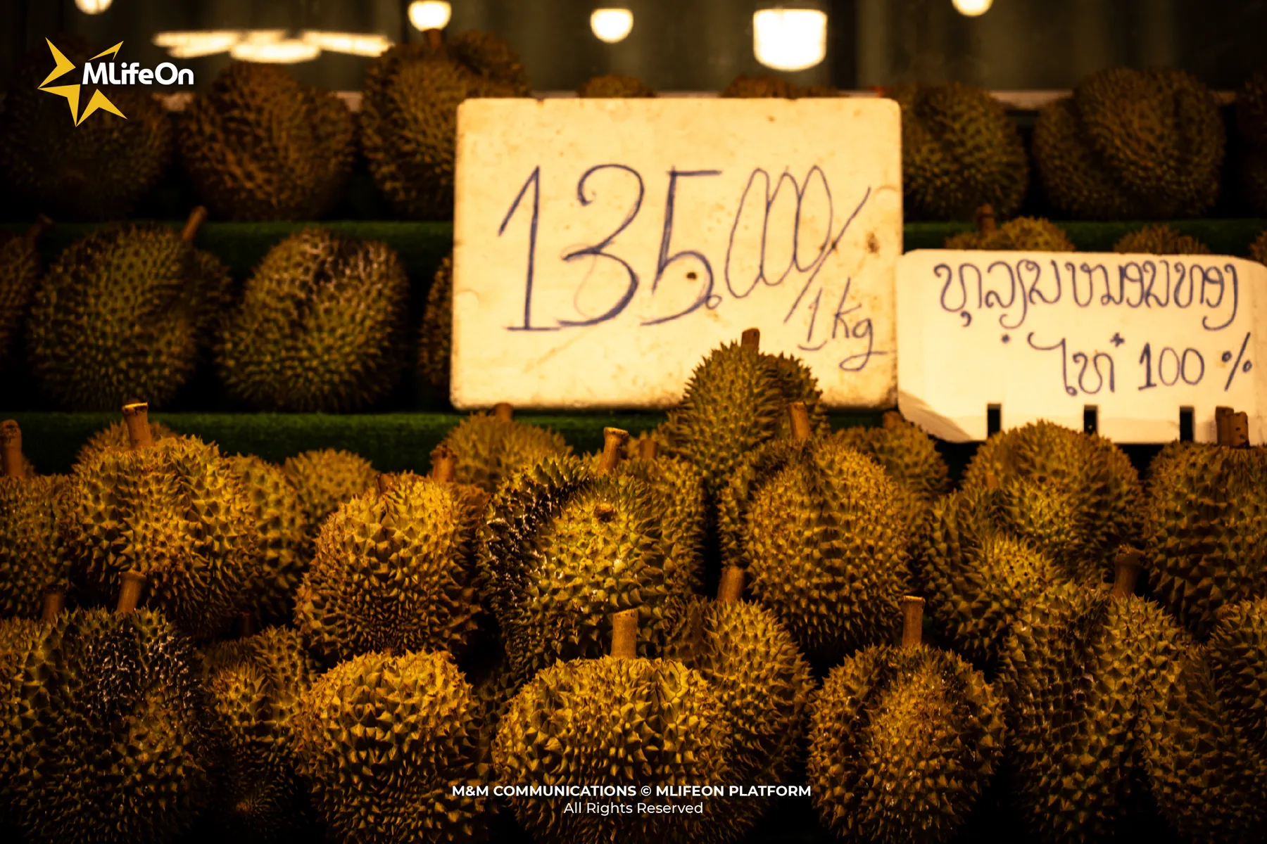 MLIFEON_WEB_T11_DU LICH CHAM RAI-12.jpg