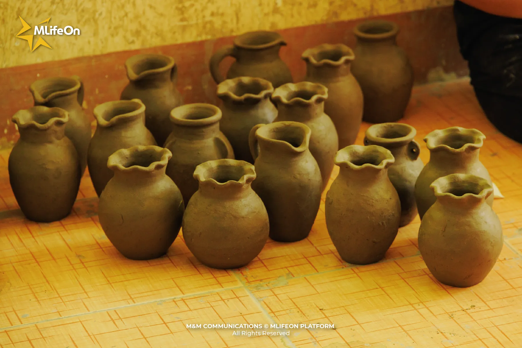 MLIFEON_WEB_T10_GOM CHAM BAU TRUC-02.jpg