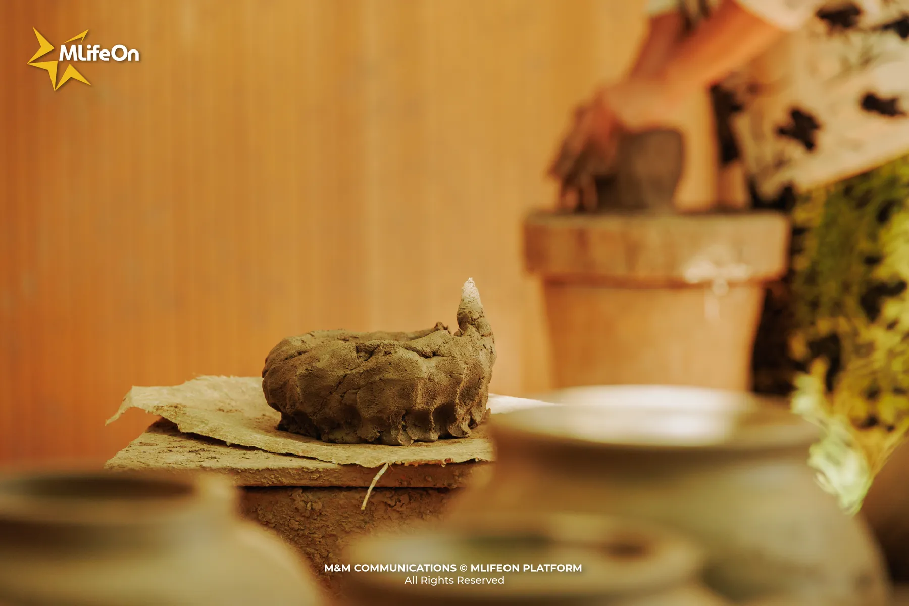 MLIFEON_WEB_T10_GOM CHAM BAU TRUC-05.jpg