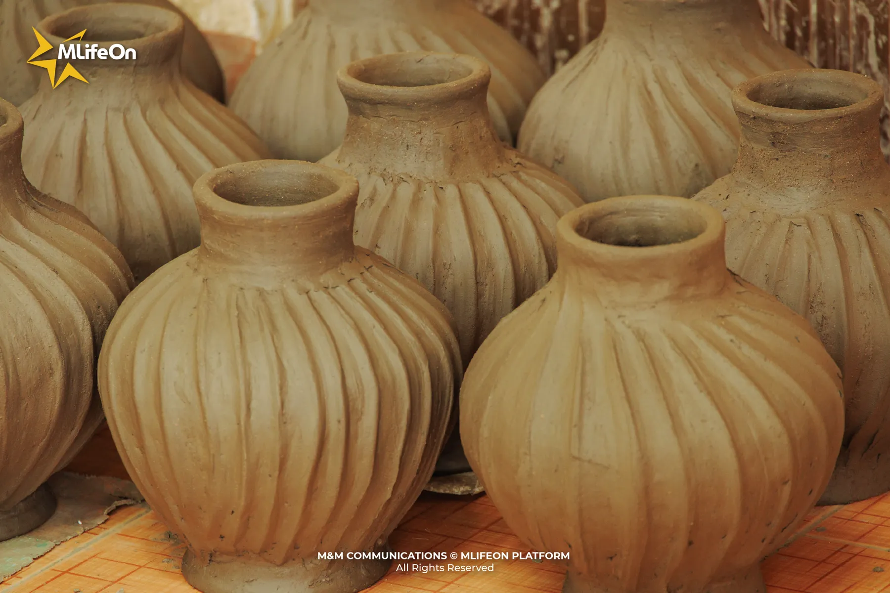 MLIFEON_WEB_T10_GOM CHAM BAU TRUC-09.jpg