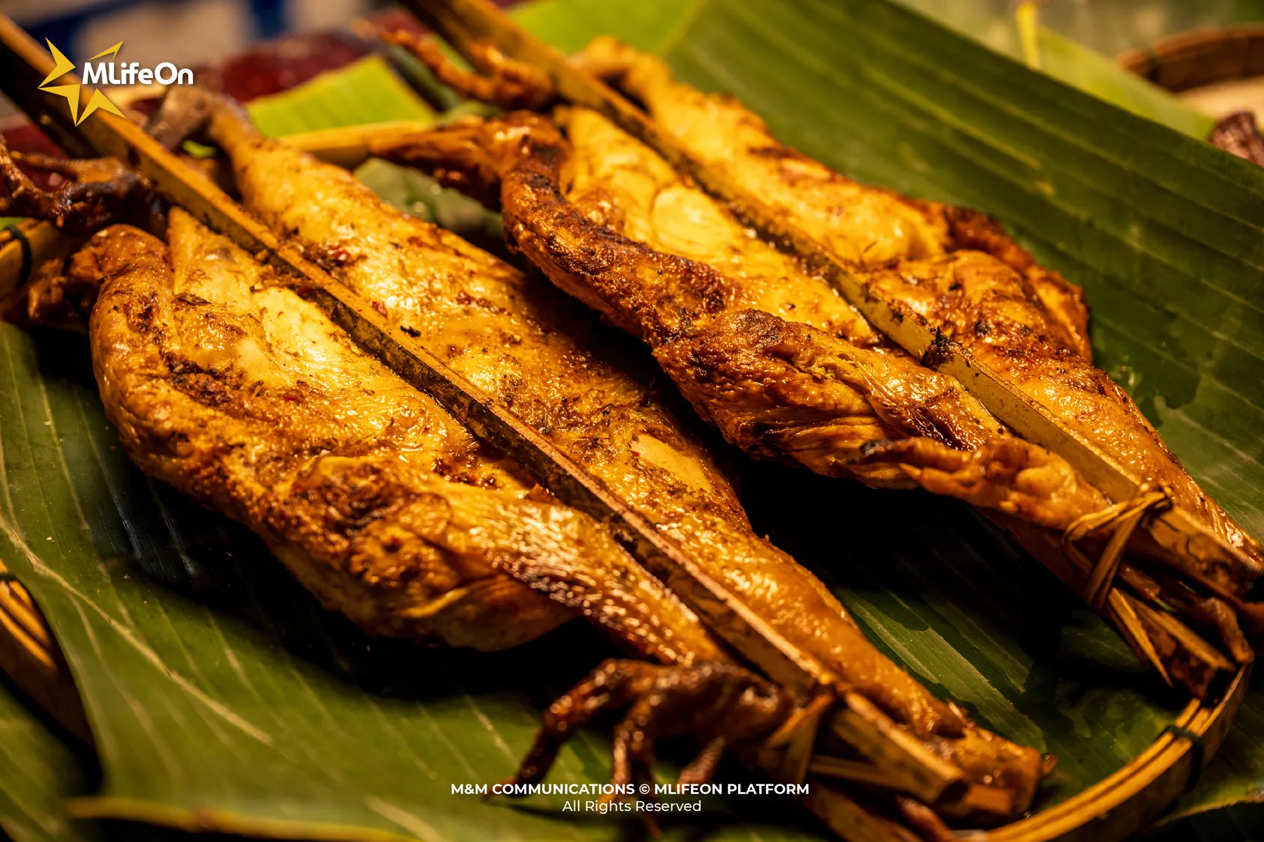 MLIFEON_WEB_T11_CHO DEM VIENG CHAN_HINH CON-05.jpg