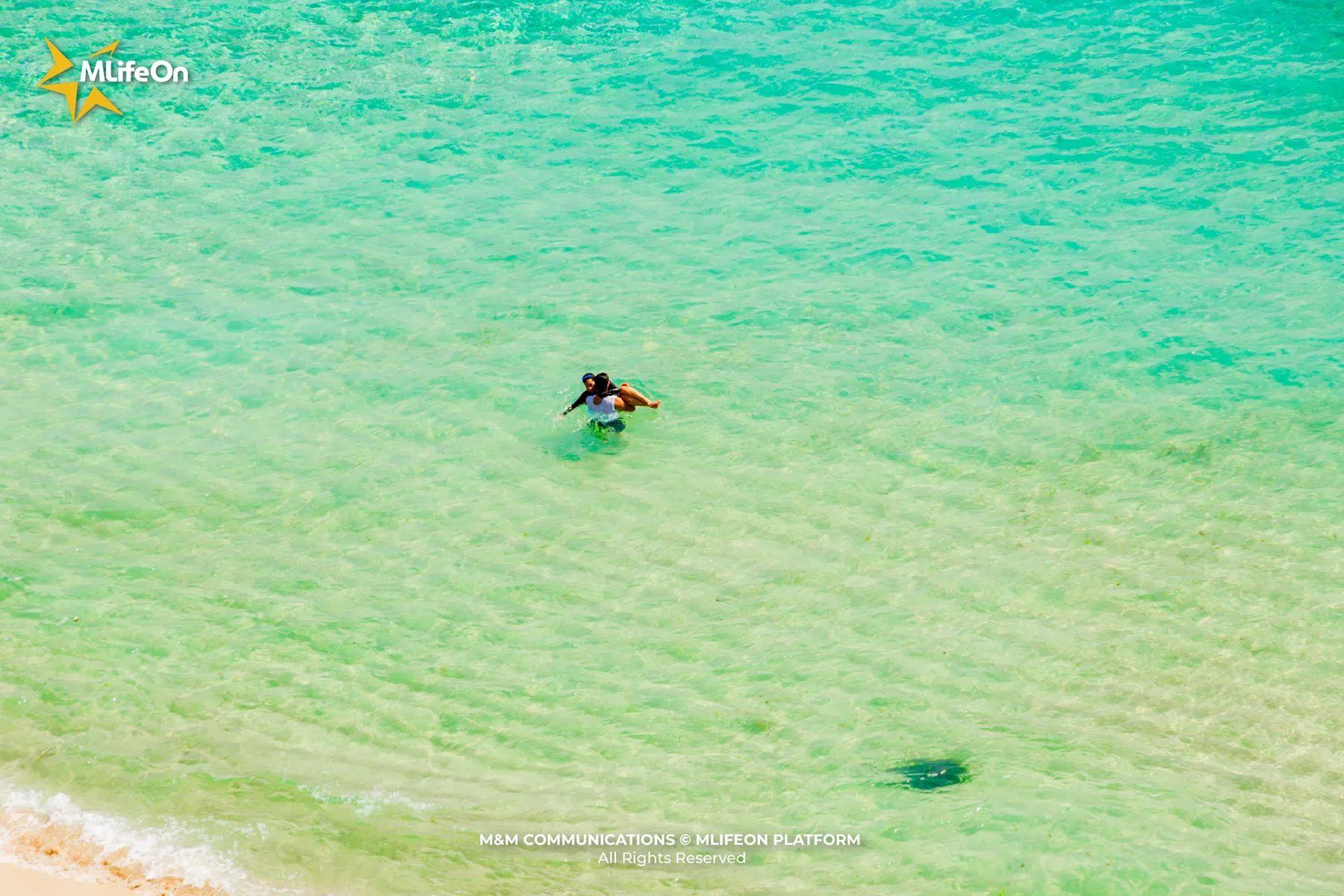 GIU MAU XANH CHI BIEN-03.jpg