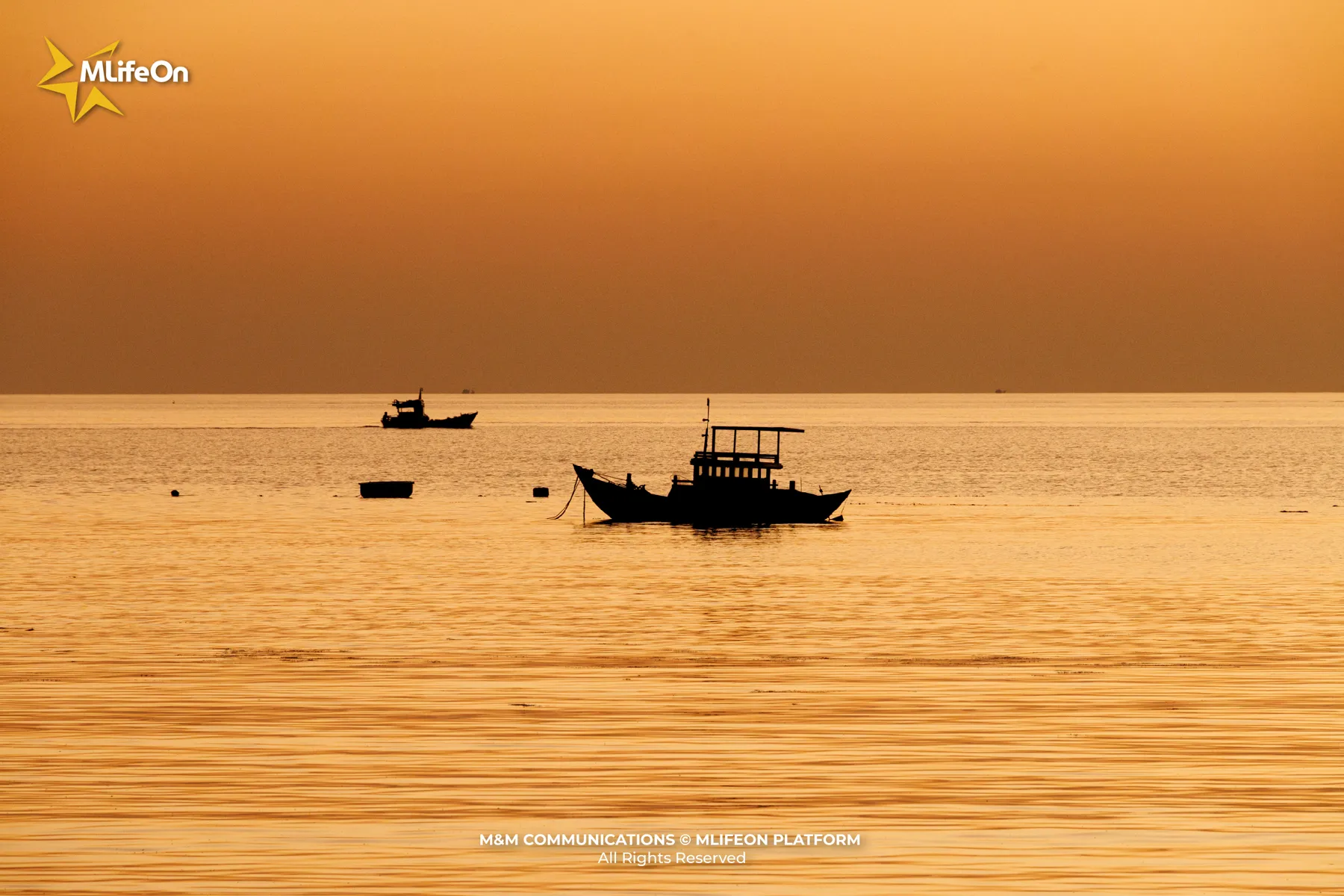 GIU MAU XANH CHI BIEN-04.jpg