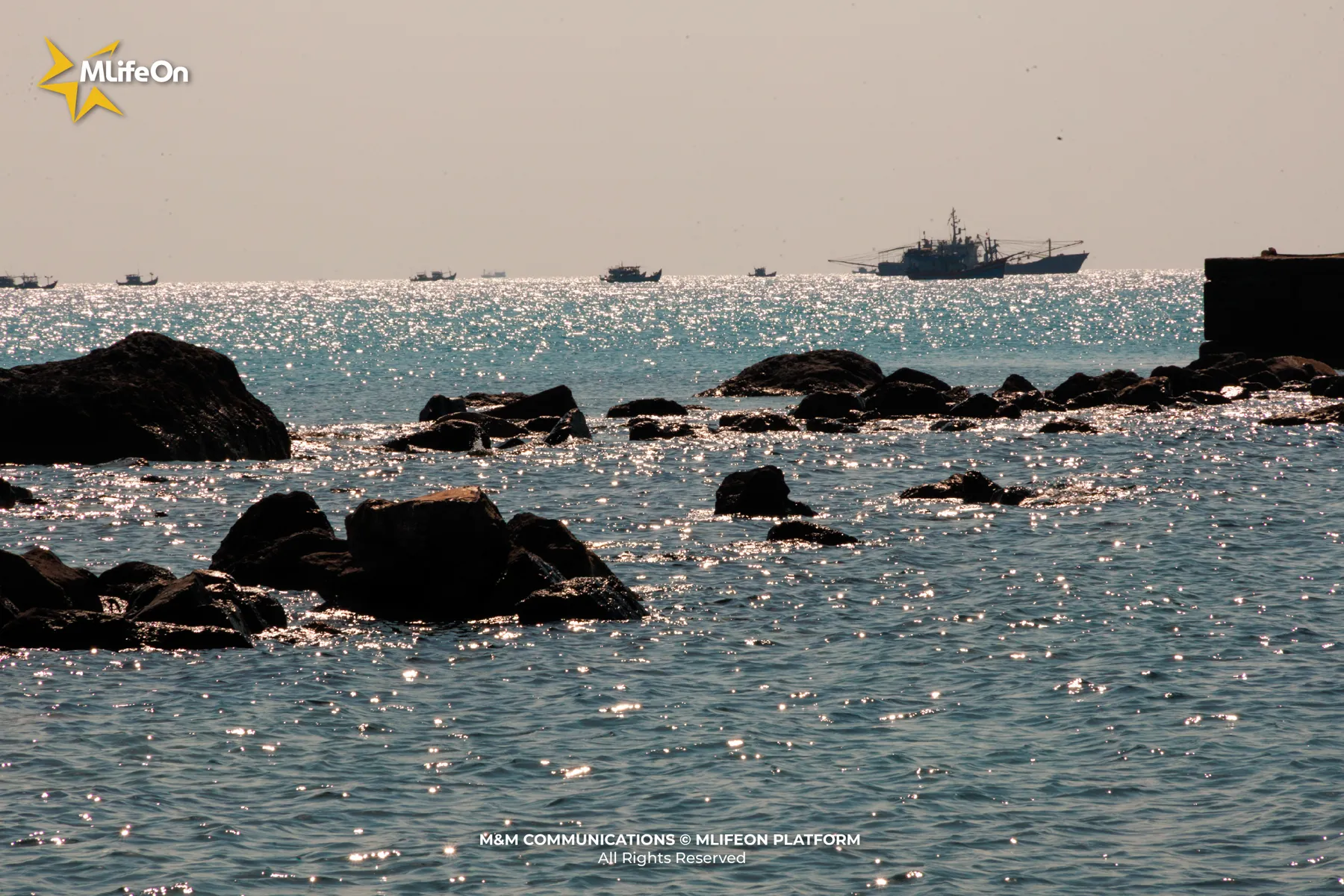 GIU MAU XANH CHI BIEN-13.jpg