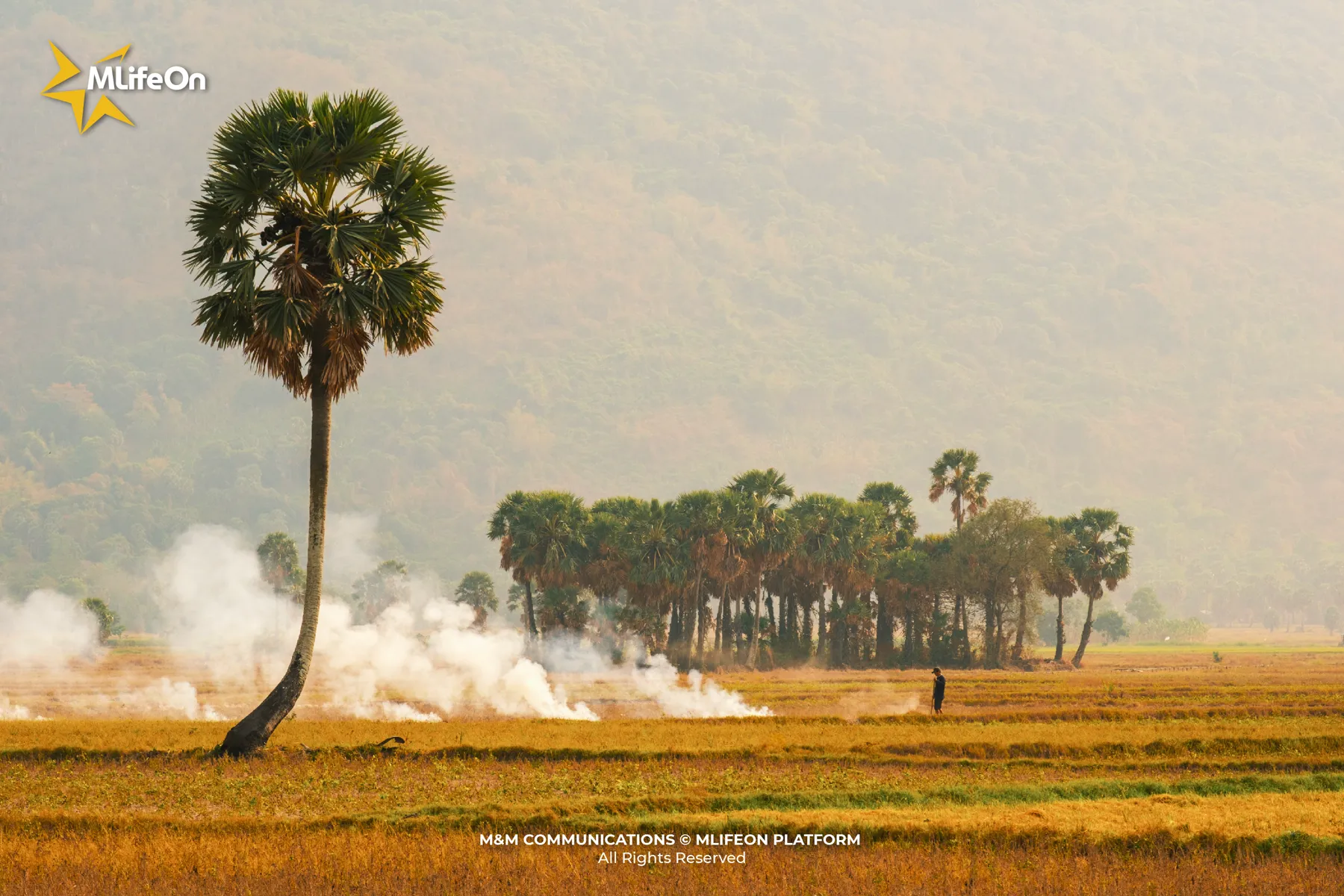 MLIFEON_WEB_T10_DUA BO BAY NUI-01.jpg