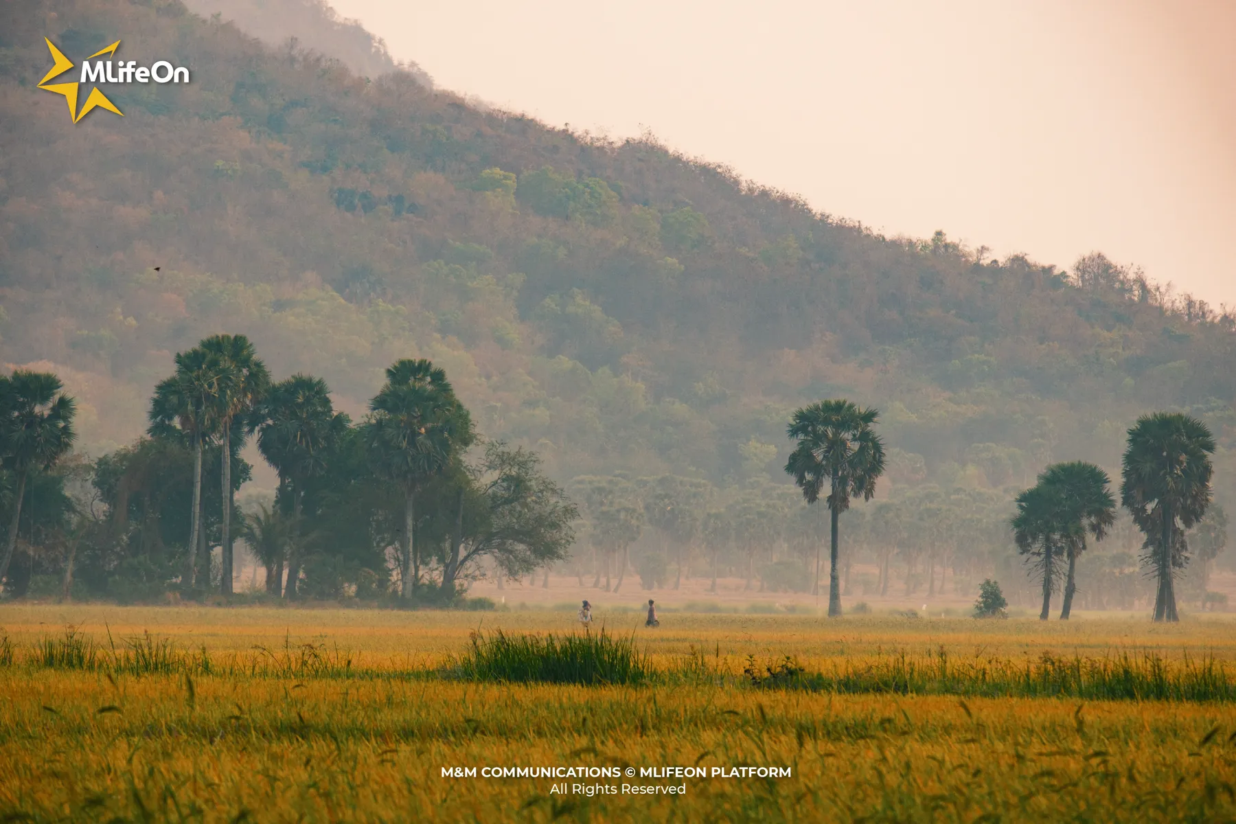 MLIFEON_WEB_T10_DUA BO BAY NUI-02.jpg