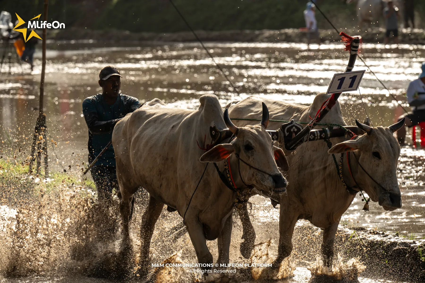 MLIFEON_WEB_T10_DUA BO BAY NUI-04.jpg