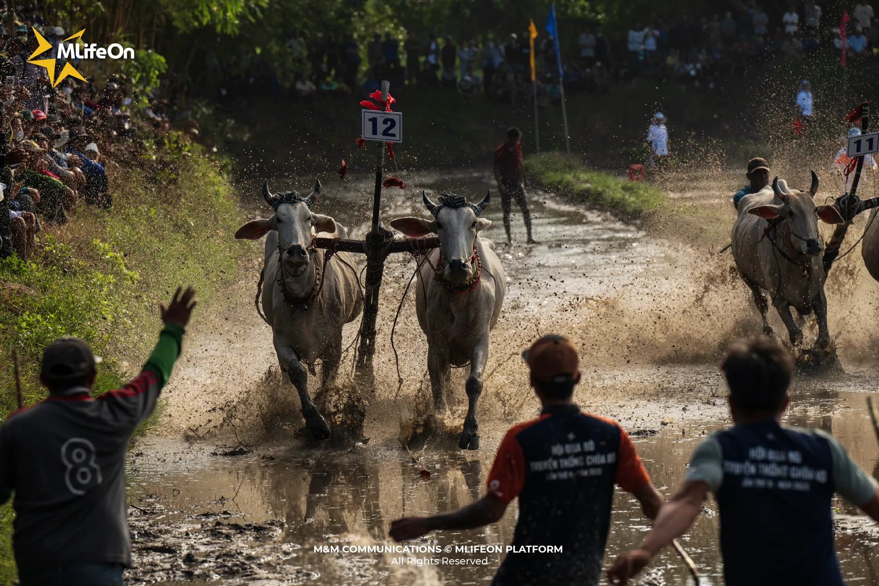 MLIFEON_WEB_T10_DUA BO BAY NUI-05.jpg