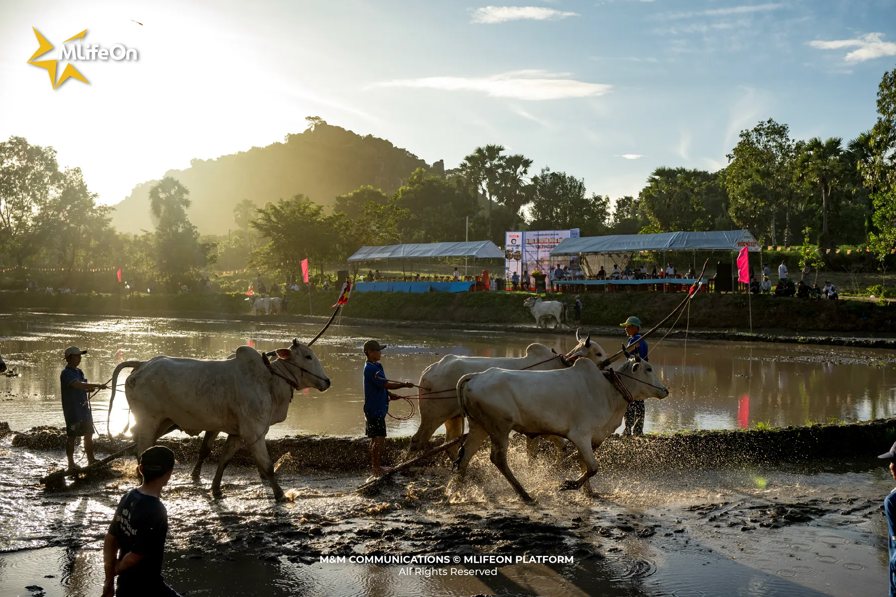 MLIFEON_WEB_T10_DUA BO BAY NUI-06.jpg