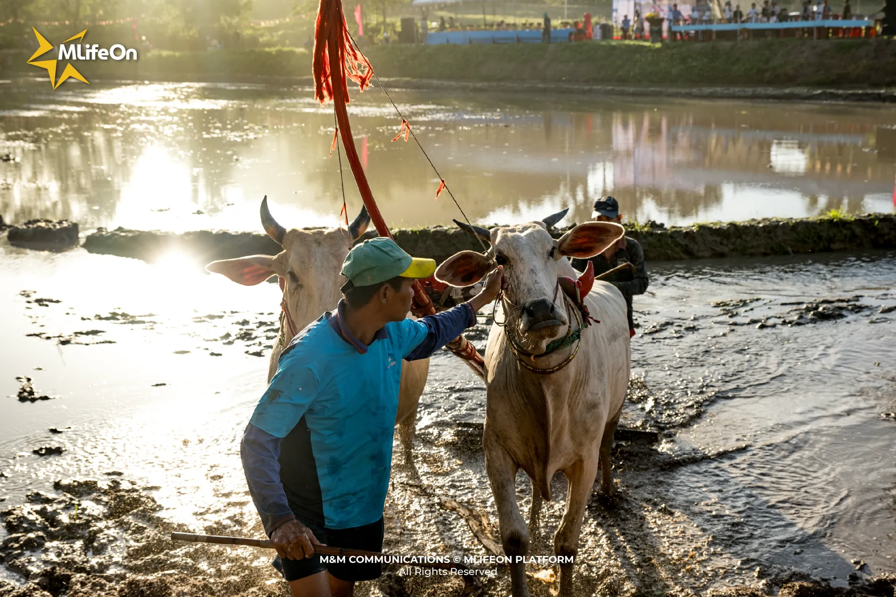 MLIFEON_WEB_T10_DUA BO BAY NUI-09.jpg