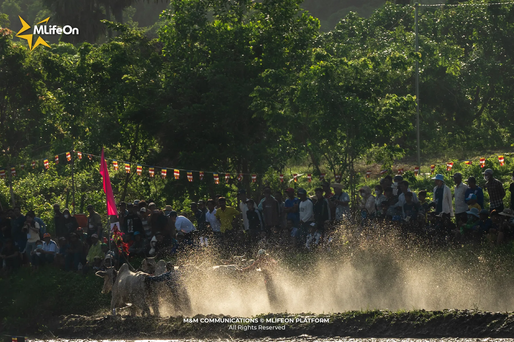 MLIFEON_WEB_T10_DUA BO BAY NUI-11.jpg