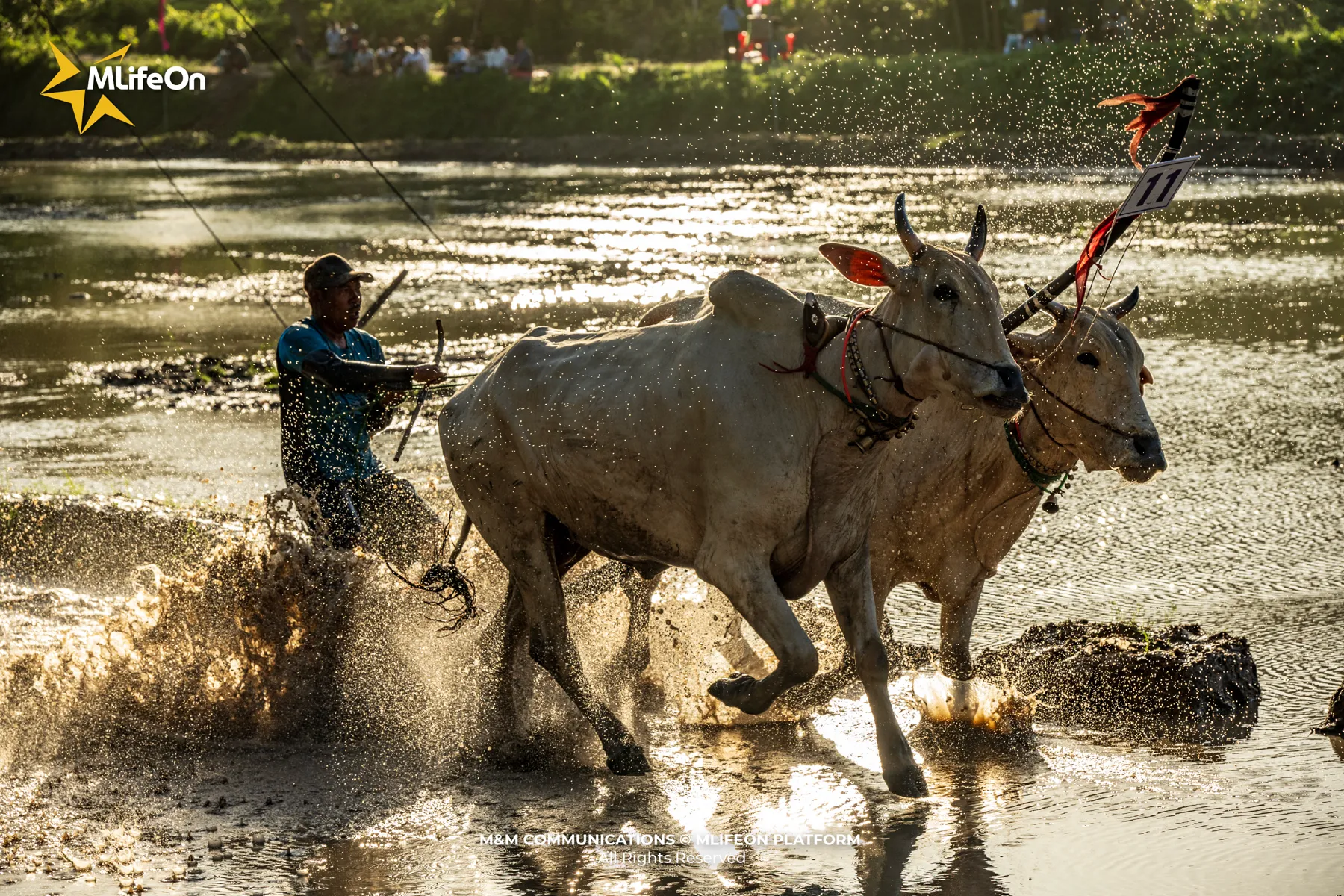 MLIFEON_WEB_T10_DUA BO BAY NUI-12.jpg