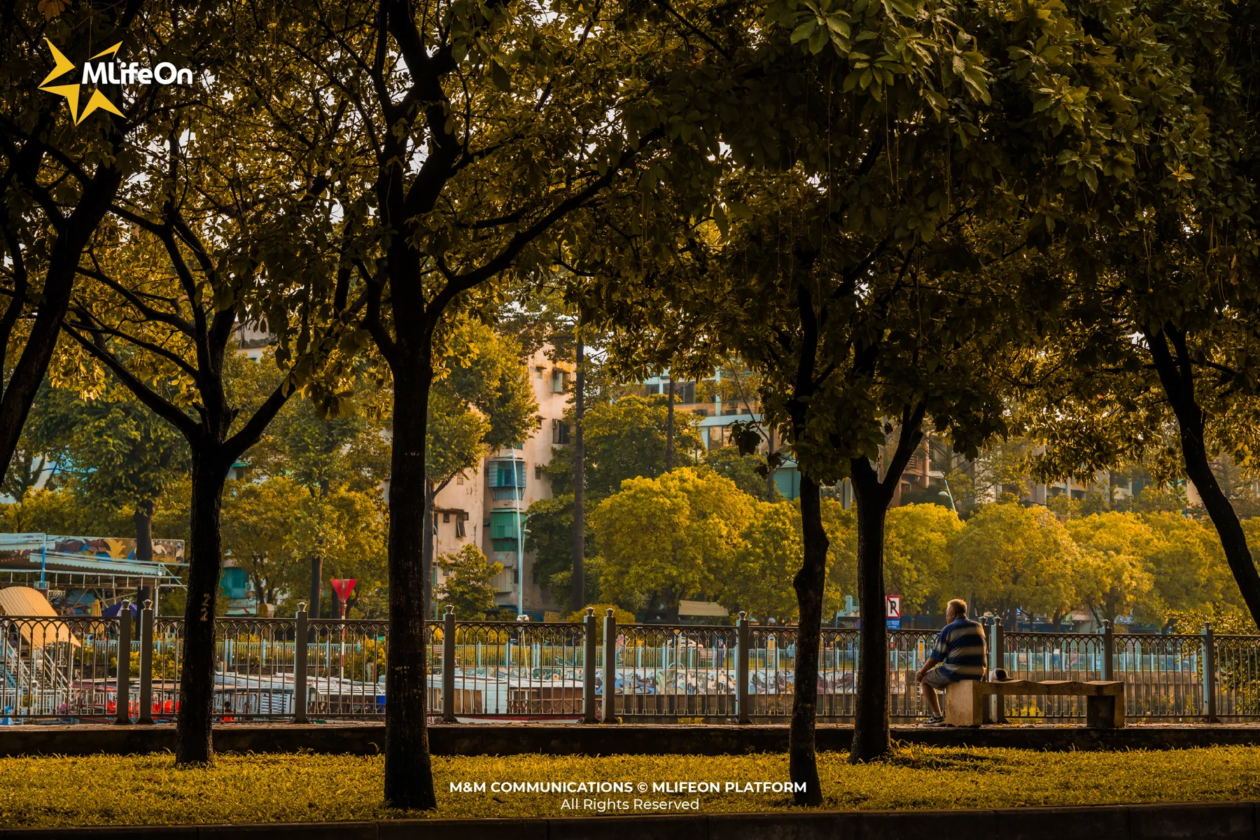 MLIFEON_WEB_T11_NGUOI SAI GON HAO SANG-19.jpg