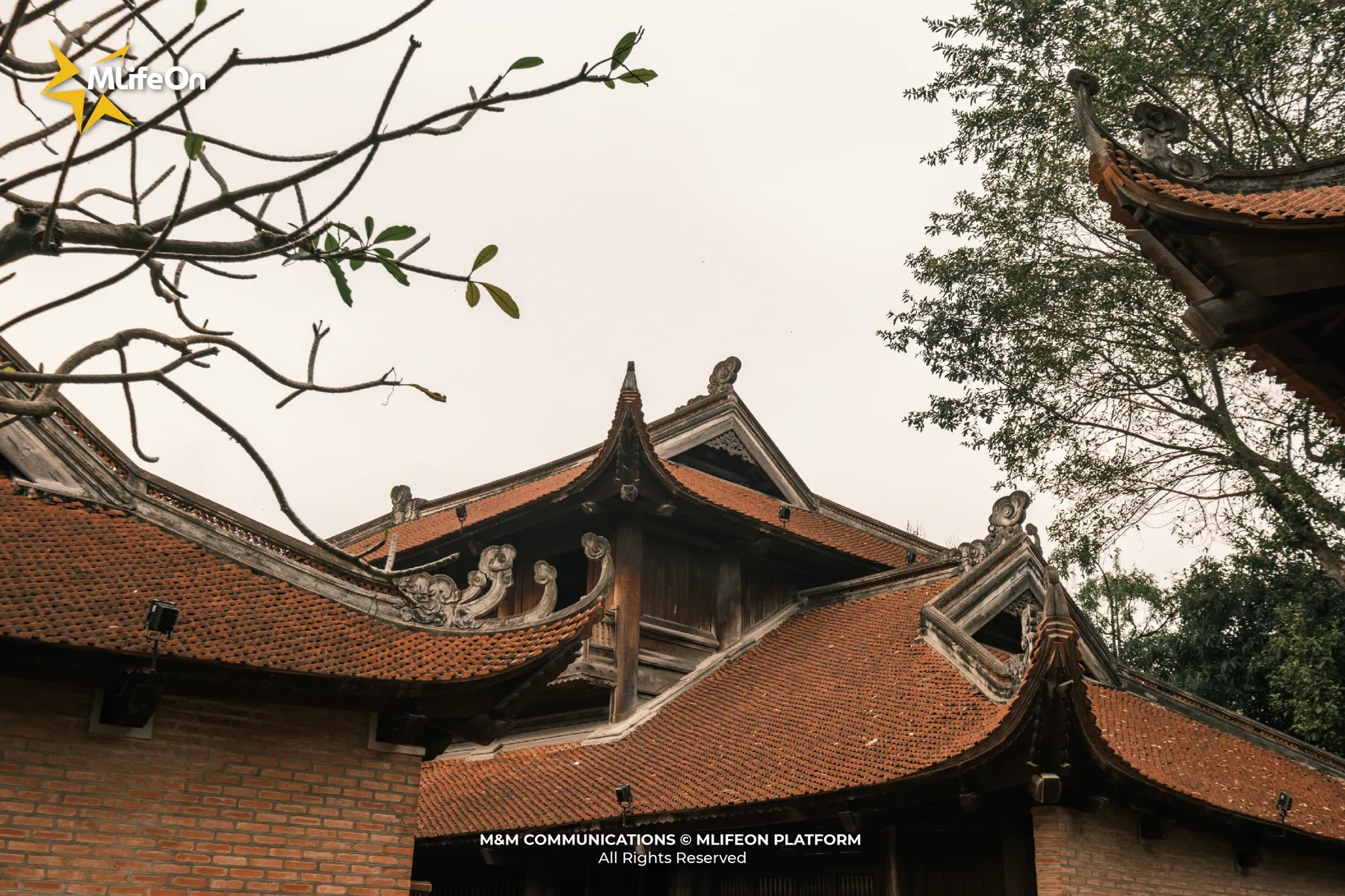 MLIFEON_WEB_T11_VAN MIEU QUOC TU GIAM-19.jpg