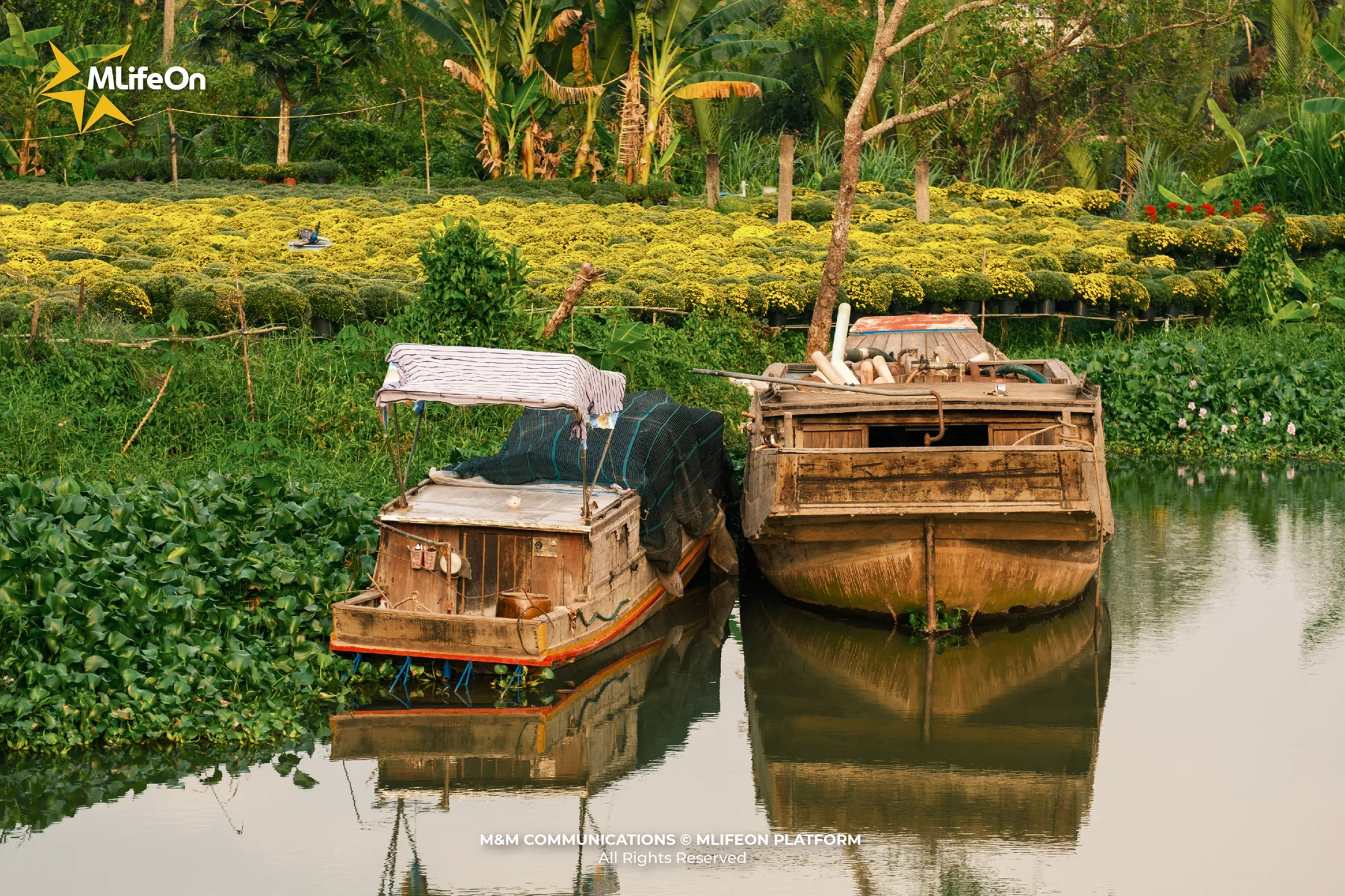 MLÌEON_WEB_T11_CHO LACH-02.jpg