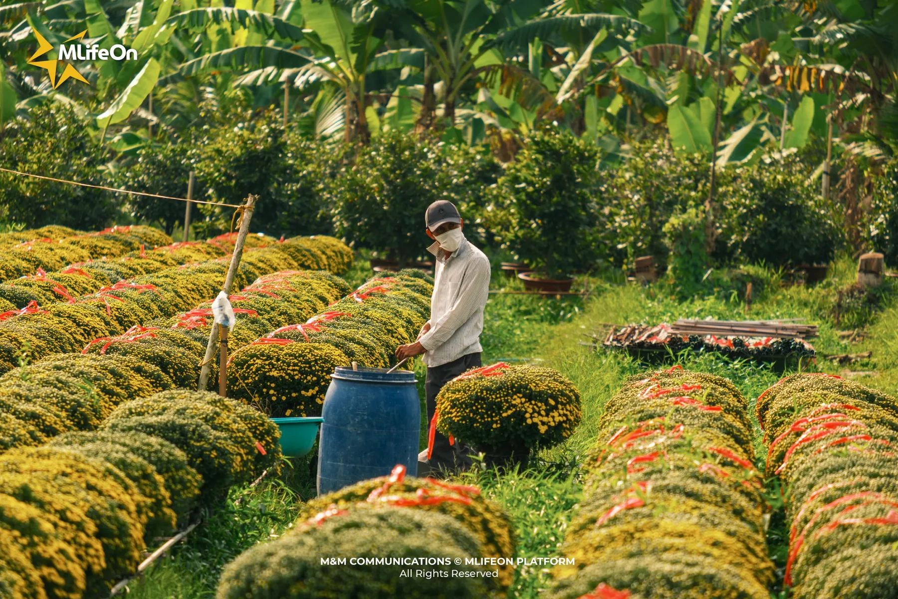 MLÌEON_WEB_T11_CHO LACH-08.jpg