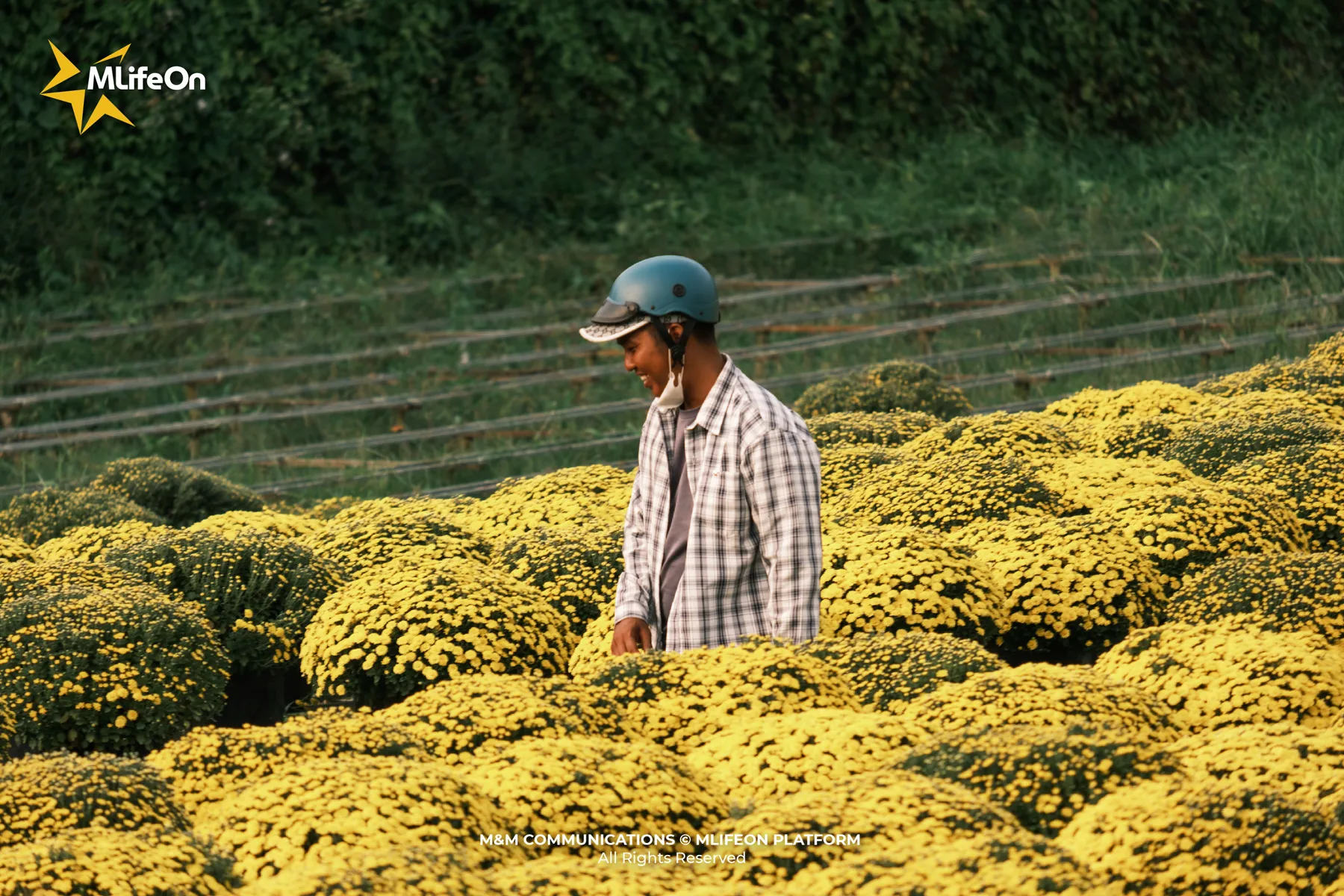 MLÌEON_WEB_T11_CHO LACH-13.jpg